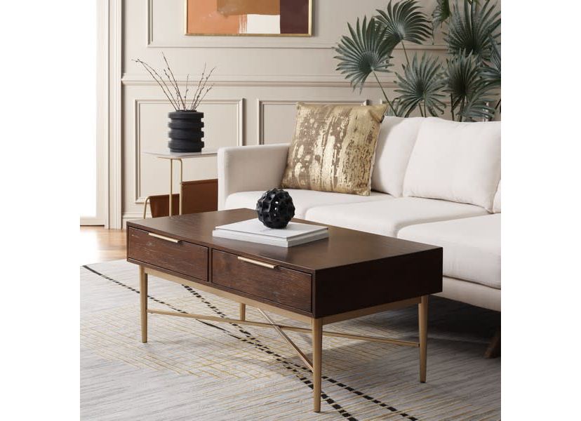 Pierre 2 Drawer Coffee Table