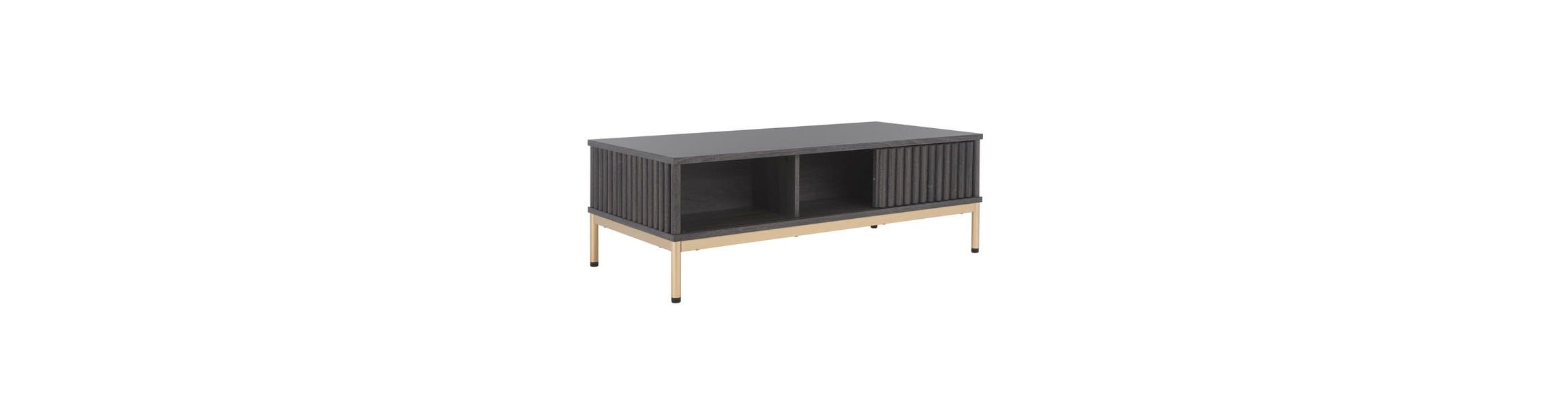 Lylia 2 Door Coffee Table