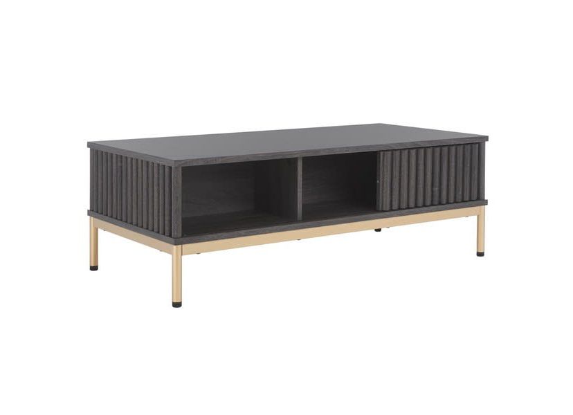 Lylia 2 Door Coffee Table