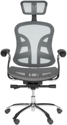 Safavieh Jarlan Desk Chair, Grey