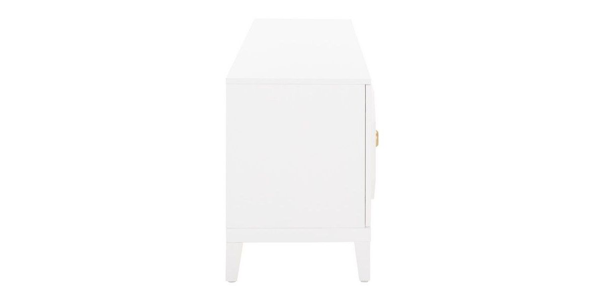 Riya 2 Door 1 Shelf Media Stand