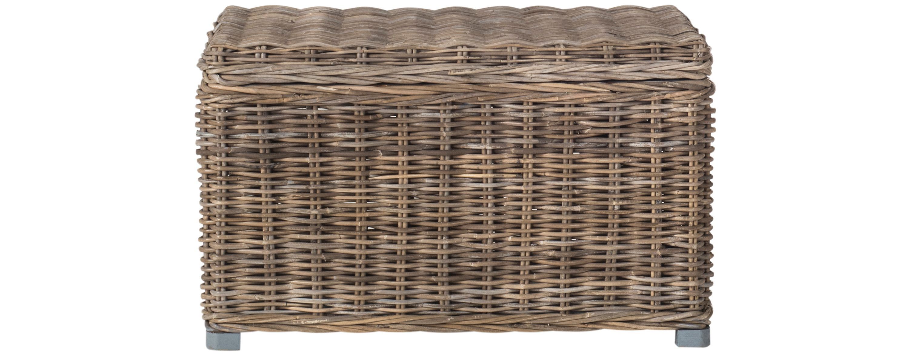 Mikasi Wicker Trunk