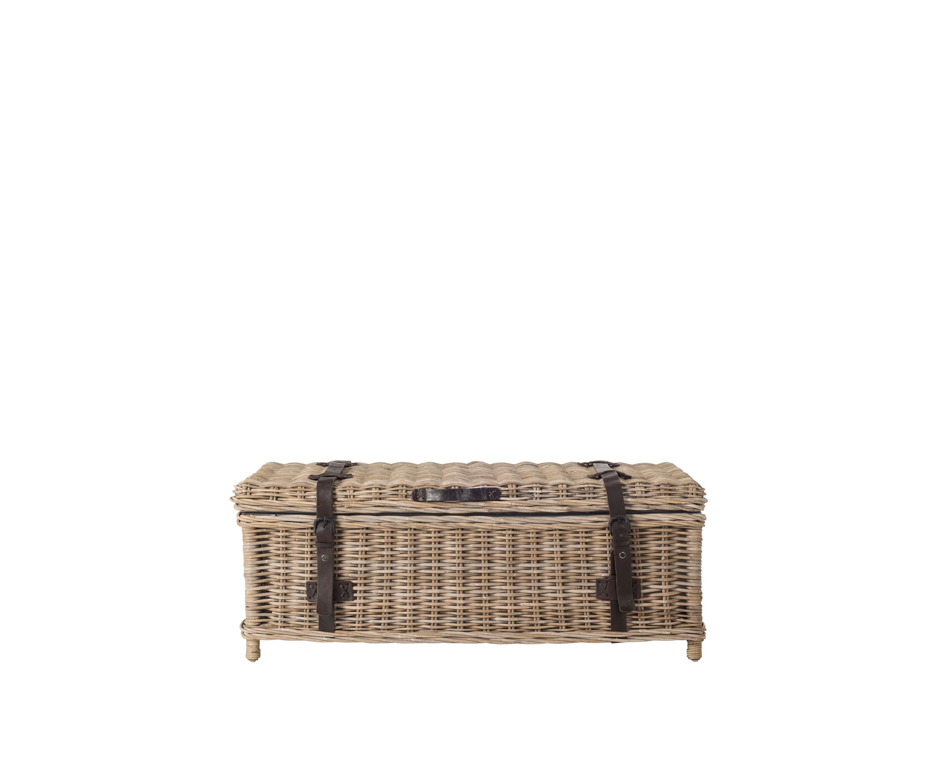 Navarro Coffee Table Trunk