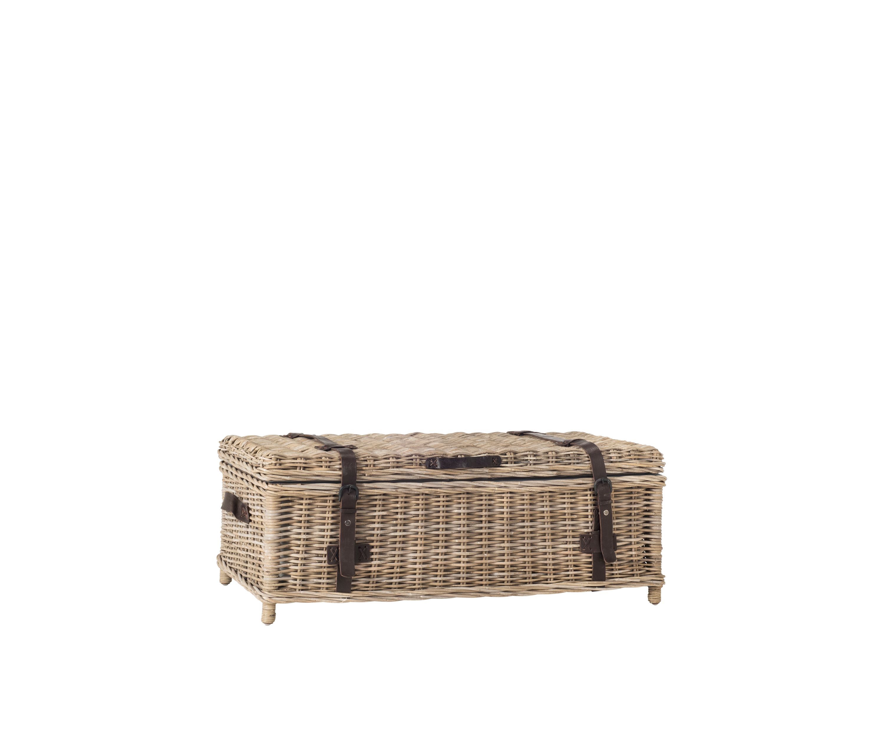 Navarro Coffee Table Trunk