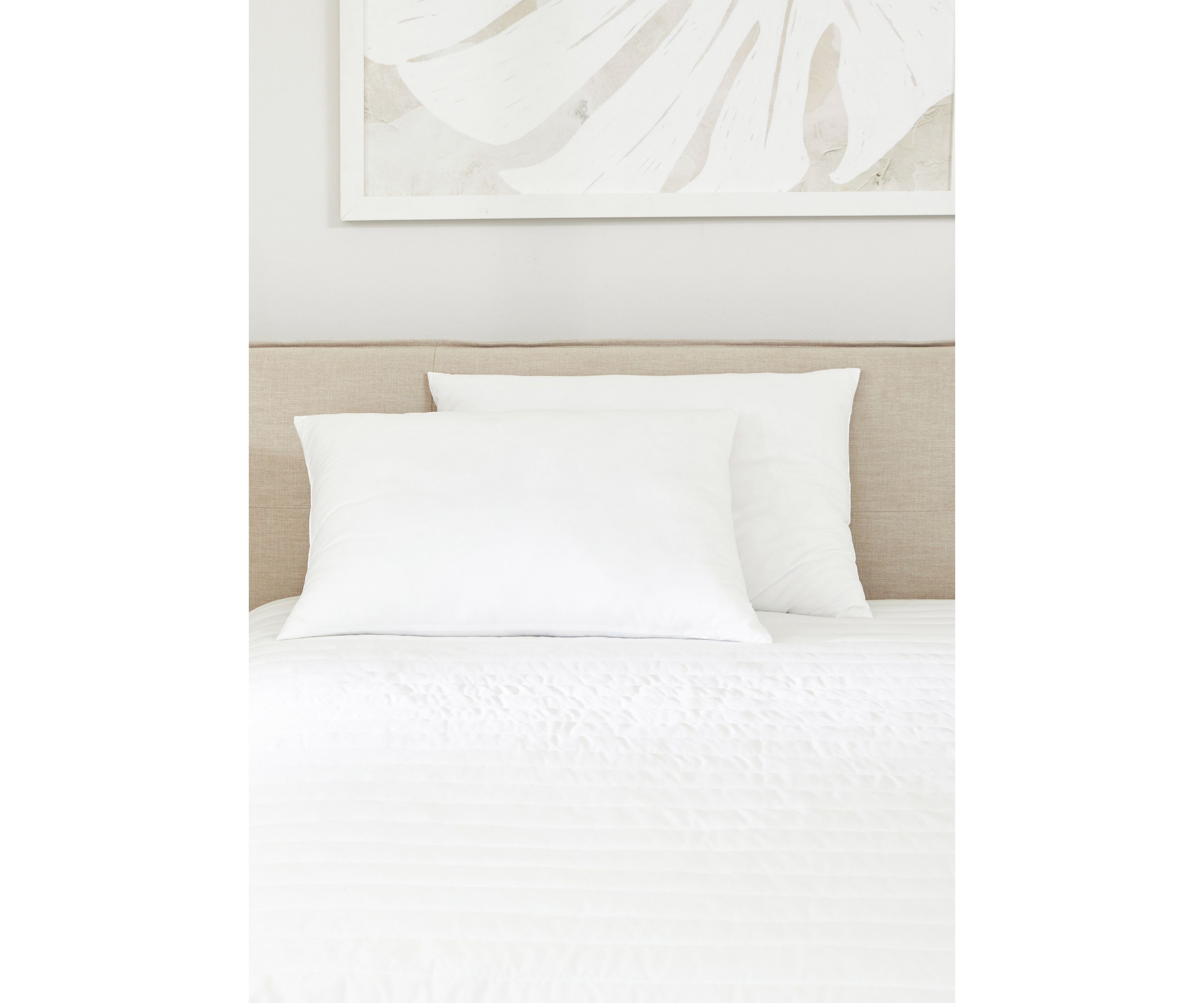 2-Pack Plush Bed Pillows Set