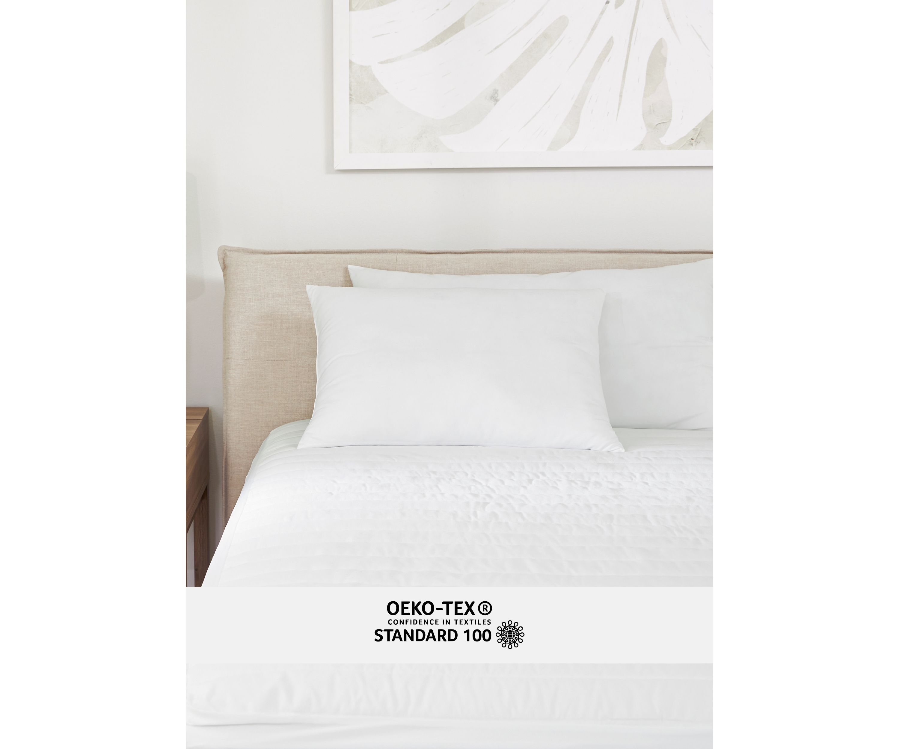 2-Pack Plush Bed Pillows Set