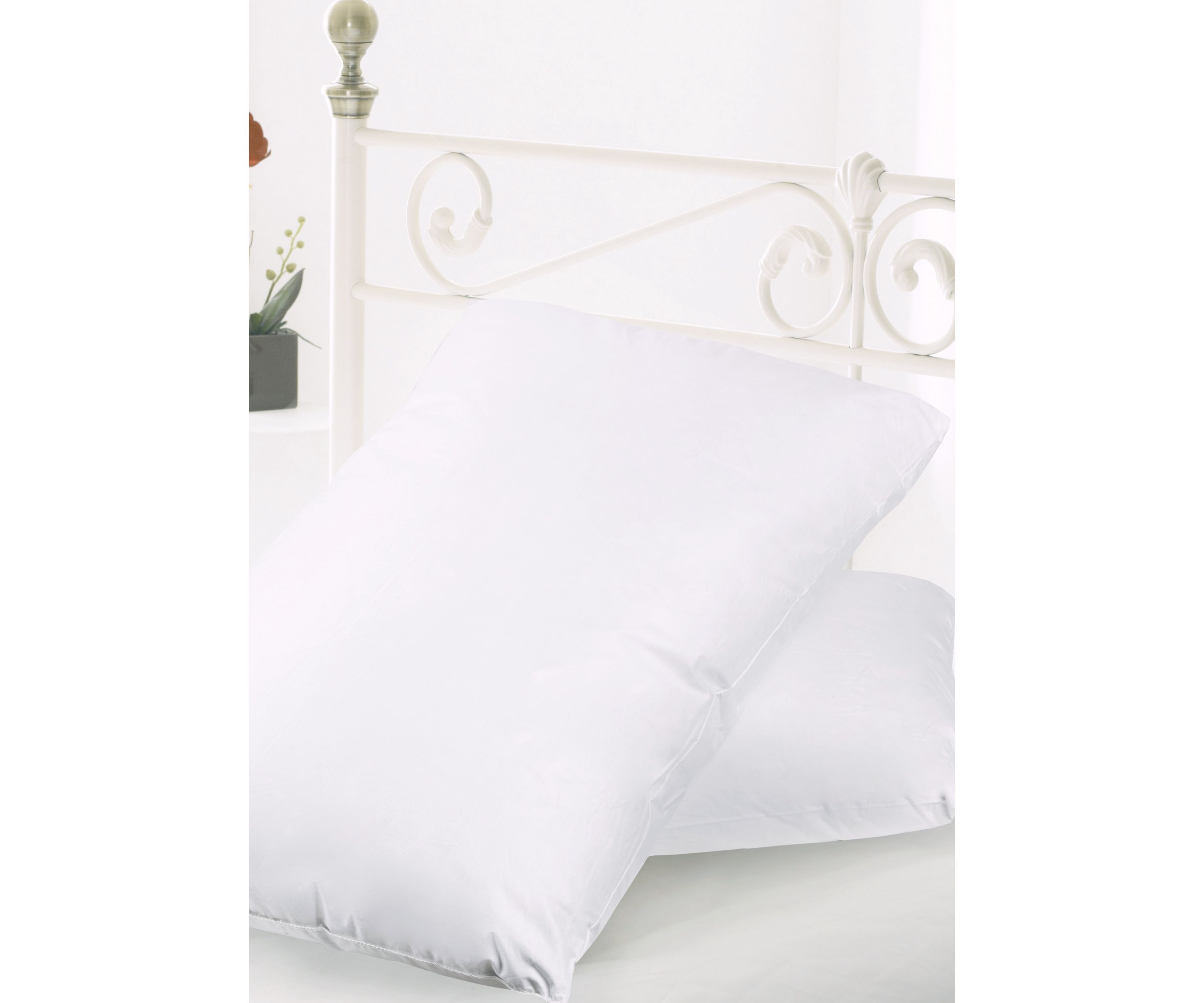 Feather & Down Blend Bed Pillows All Cotton Cover 2 Pack