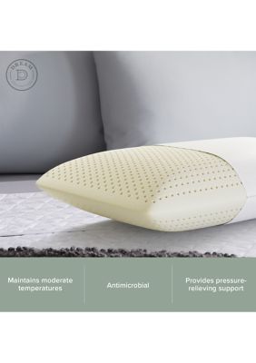 Beautyrest latex shop pillow belk