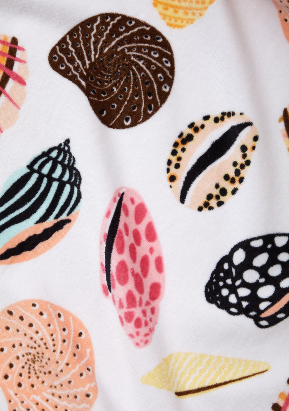 Beach Shells Beach Towel