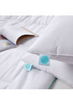 Tencel®/Cotton Blend Tencel®-Around 95/5 Feather/Down Pillow (2 Pack) - Medium Firm