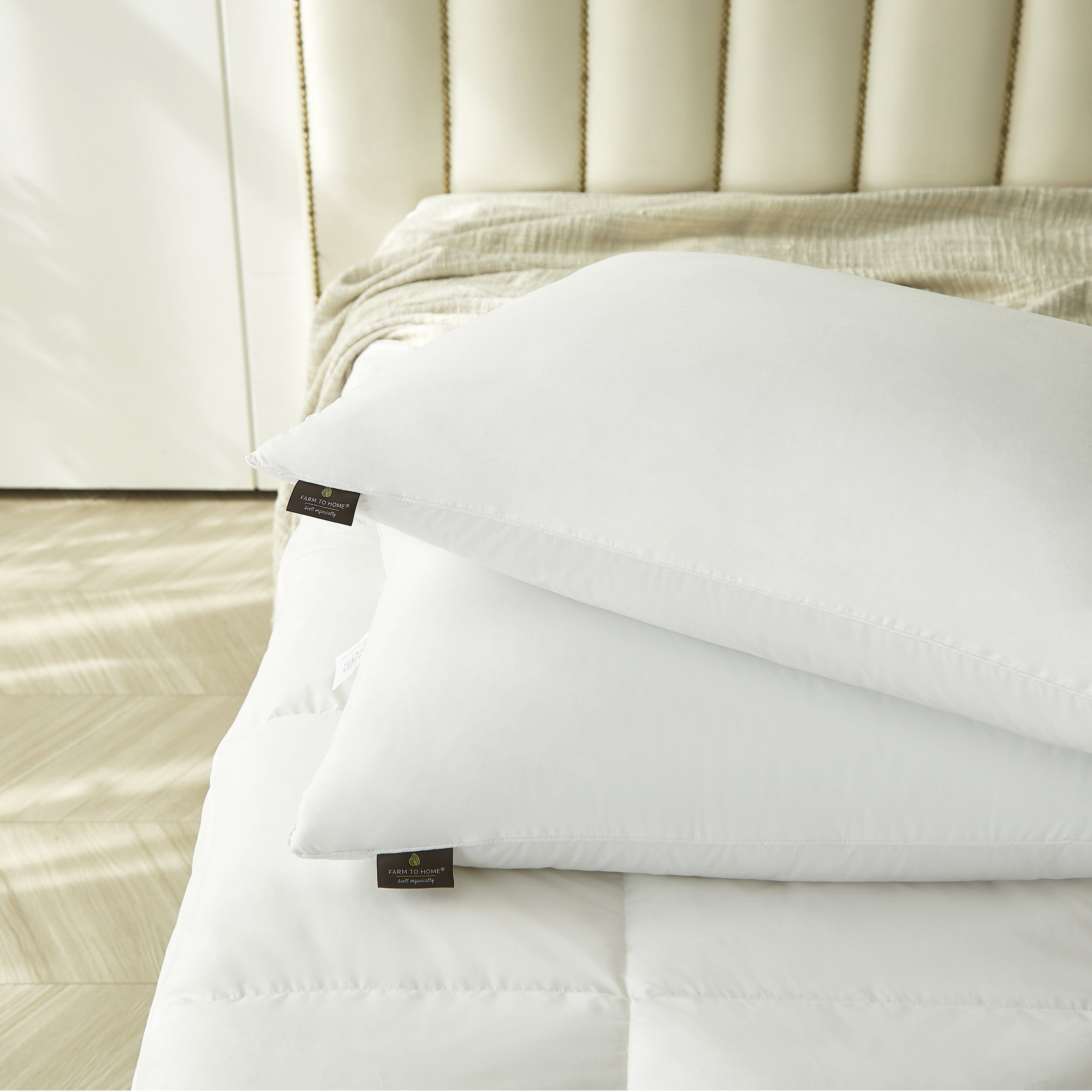 100% Organic Cotton 2 Pack Feather And Down Pillow