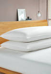 233 Thread Count White Goose Feather and Down Fiber Back Sleeper Pillow - 2 Pack