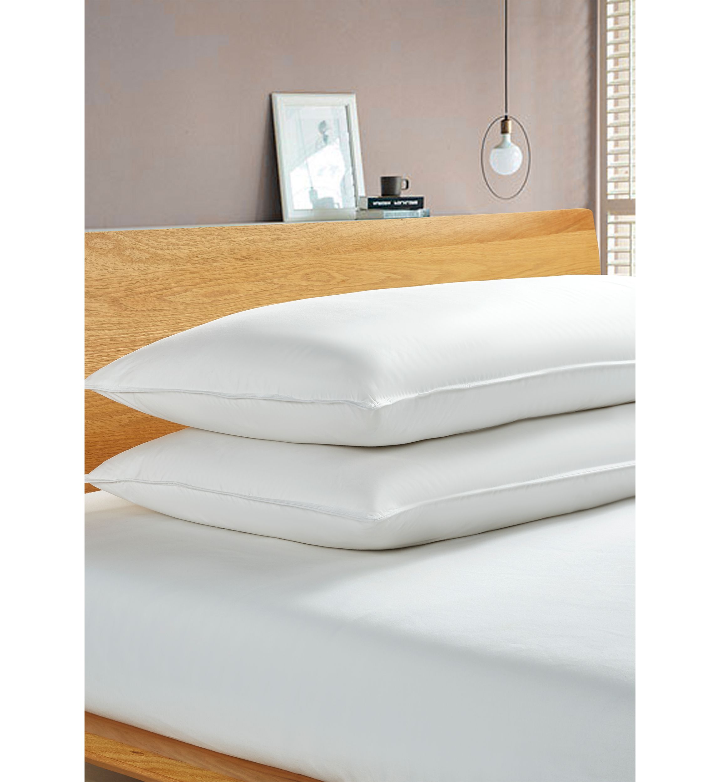 233 Thread Count White Goose Feather and Down Fiber Back Sleeper Pillow - 2 Pack