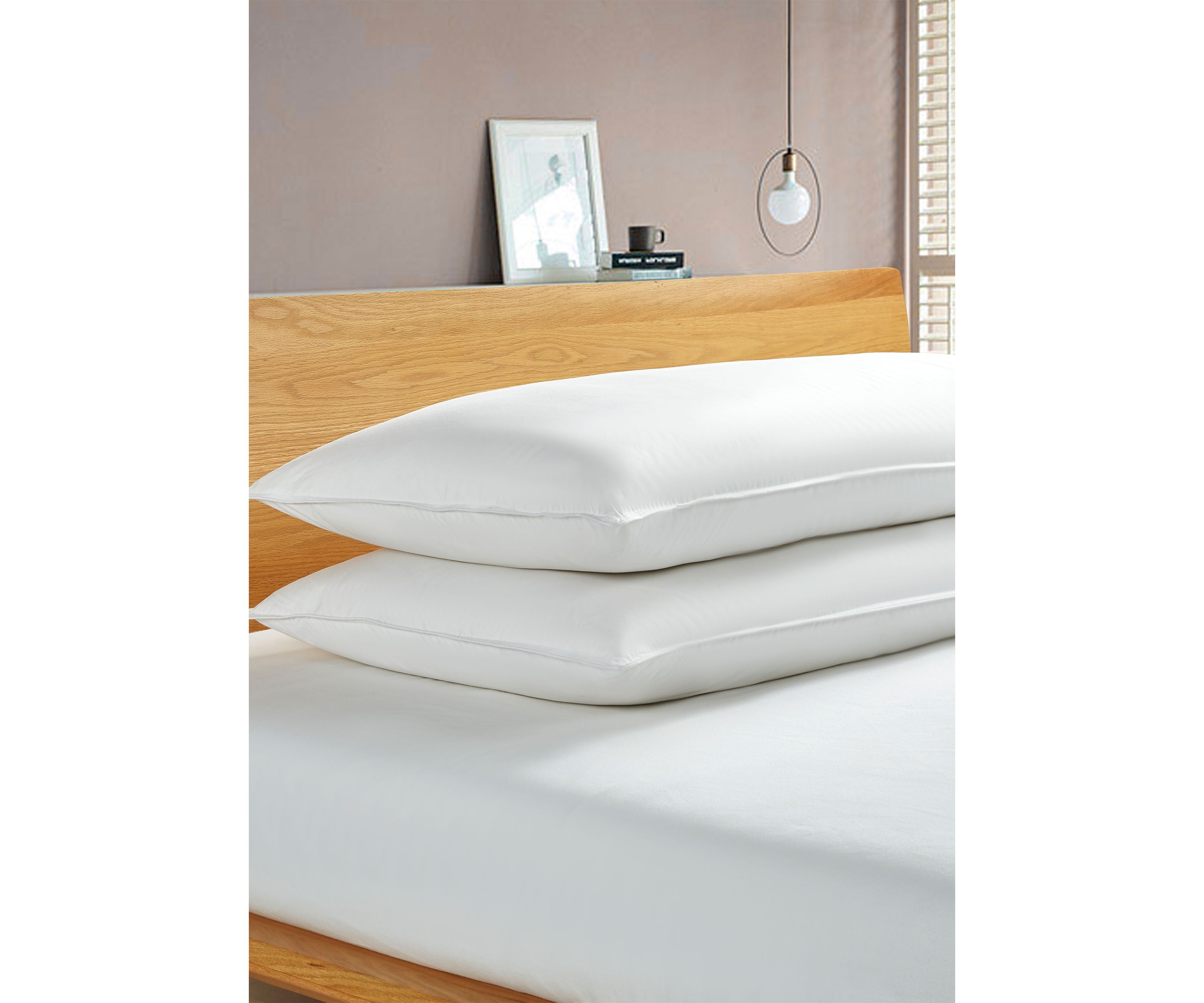 233 Thread Count White Goose Feather and Down Fiber Back Sleeper Pillow - 2 Pack