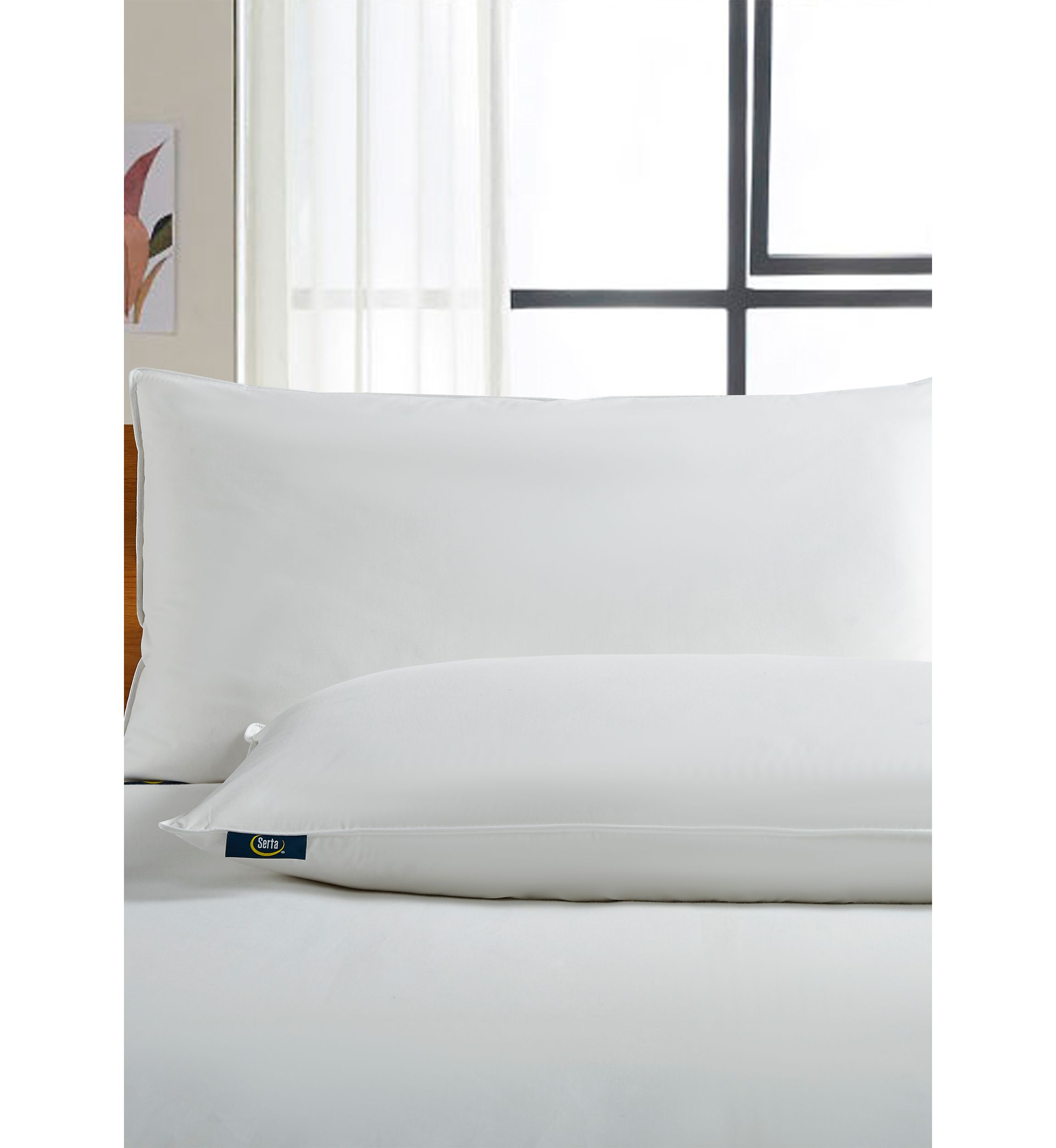 233 Thread Count White Goose Feather and Down Fiber Back Sleeper Pillow - 2 Pack