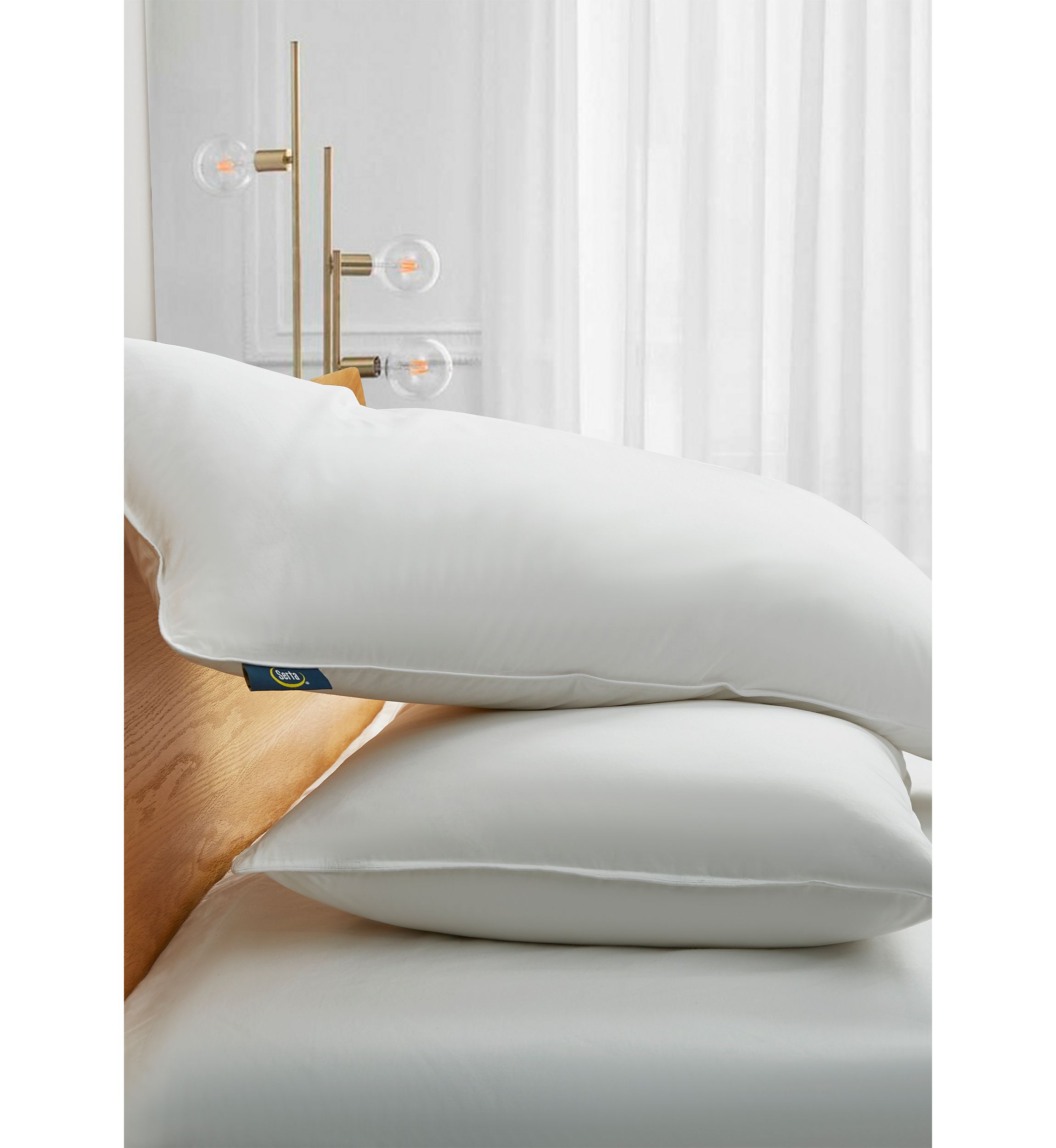 233 Thread Count White Goose Feather and Down Fiber Back Sleeper Pillow - 2 Pack