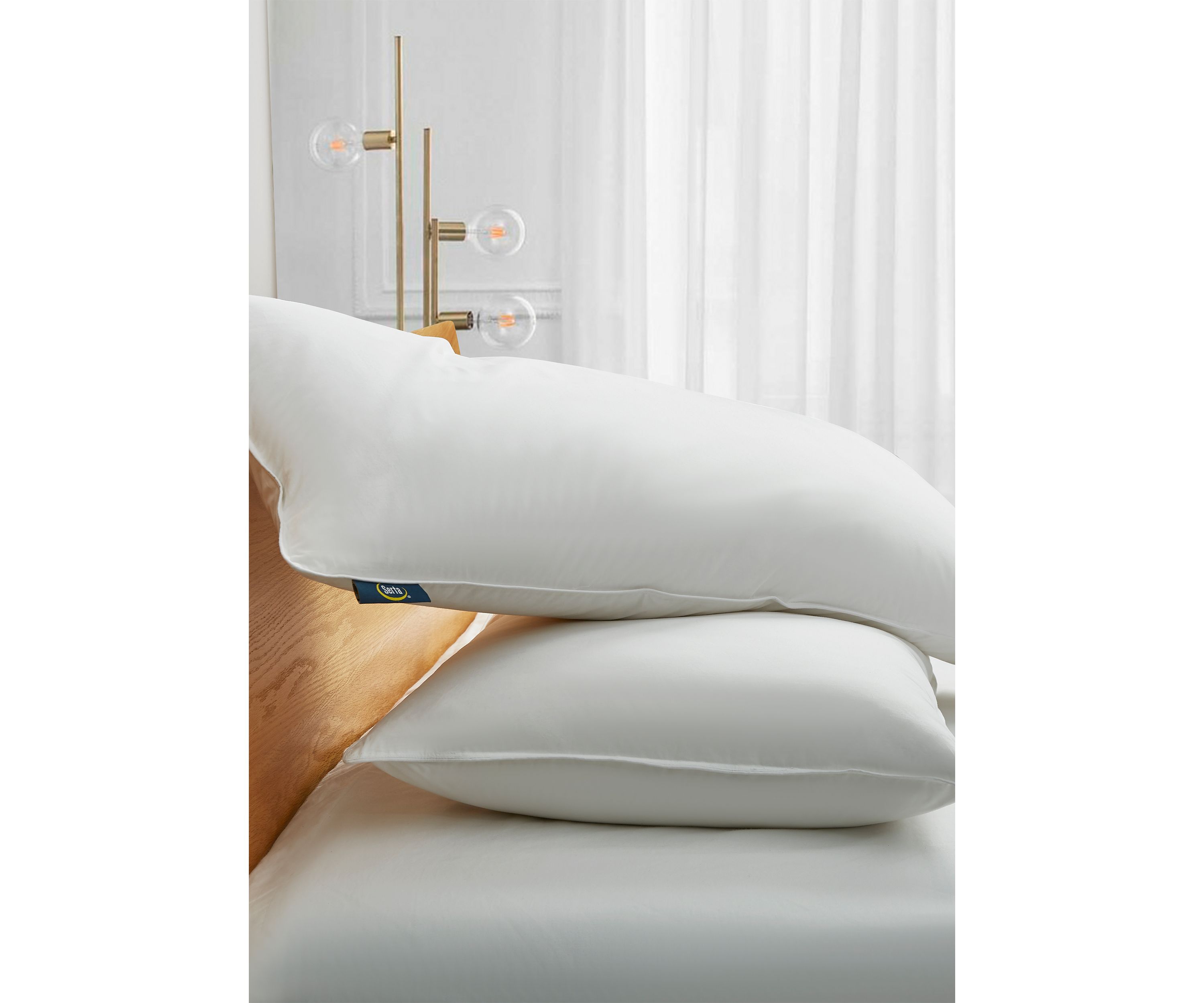 233 Thread Count White Goose Feather and Down Fiber Back Sleeper Pillow - 2 Pack