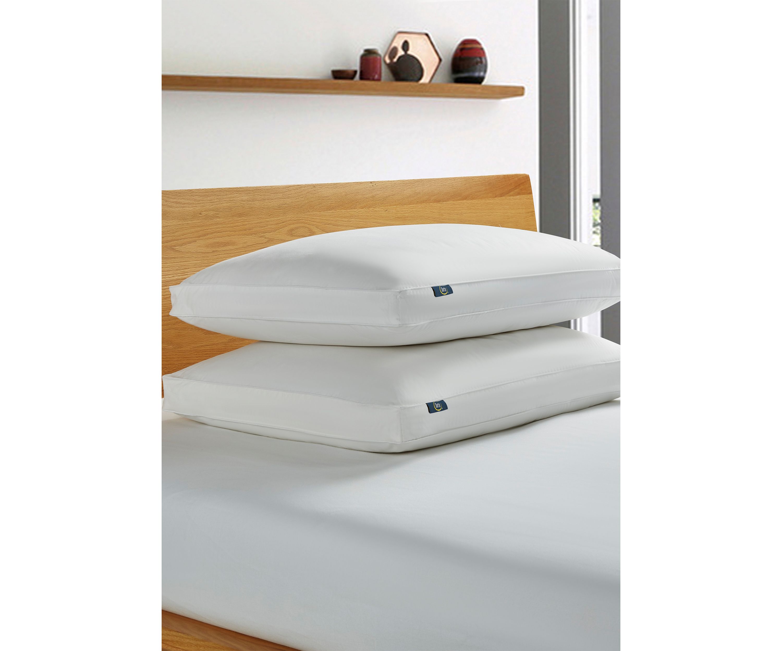 233 Thread Count White Goose Feather And Down Fiber Side Sleeper Pillow - 2 Pack