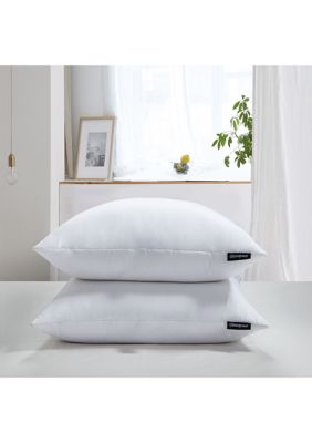 Beautyrest latex pillow belk best sale