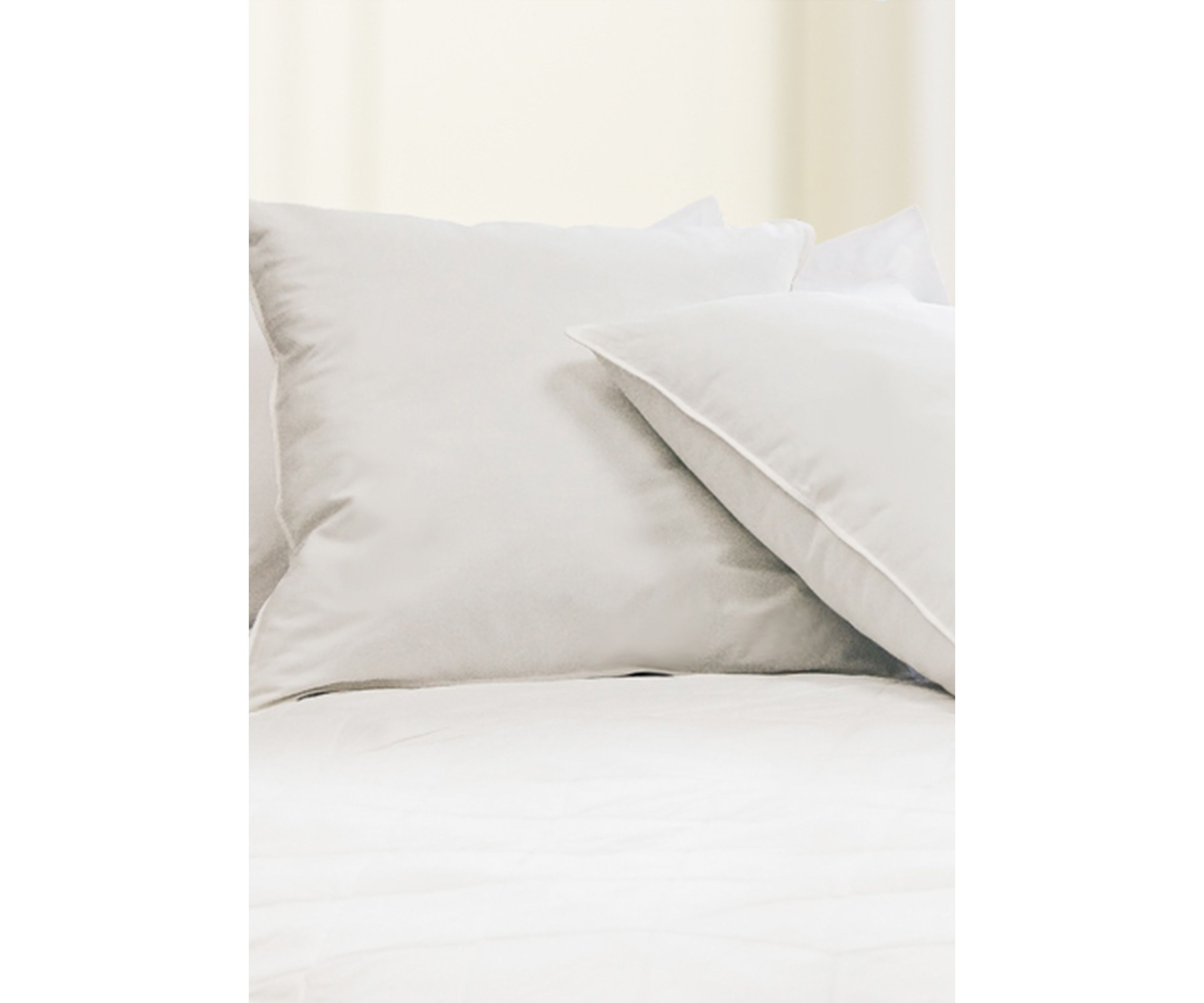 Feather Euro Square Pillow Set