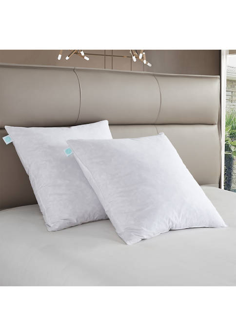 233 Thread Count Cotton Euro-Square Feather Pillow (2 Pack) - Firm