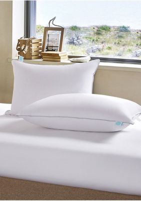 Premium White Down Pillow – Martha Stewart