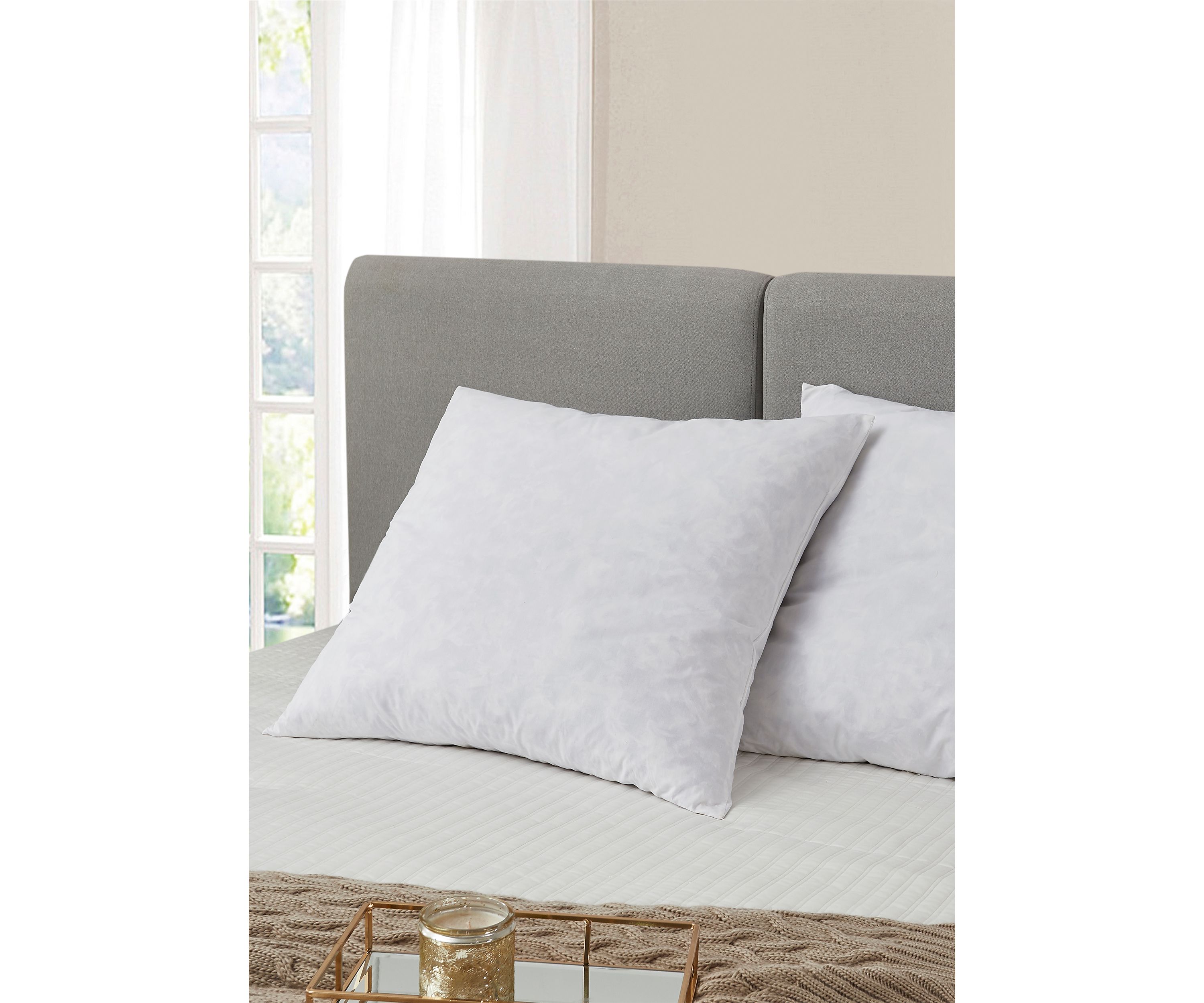 Feather Euro Square Pillow 2 Pack