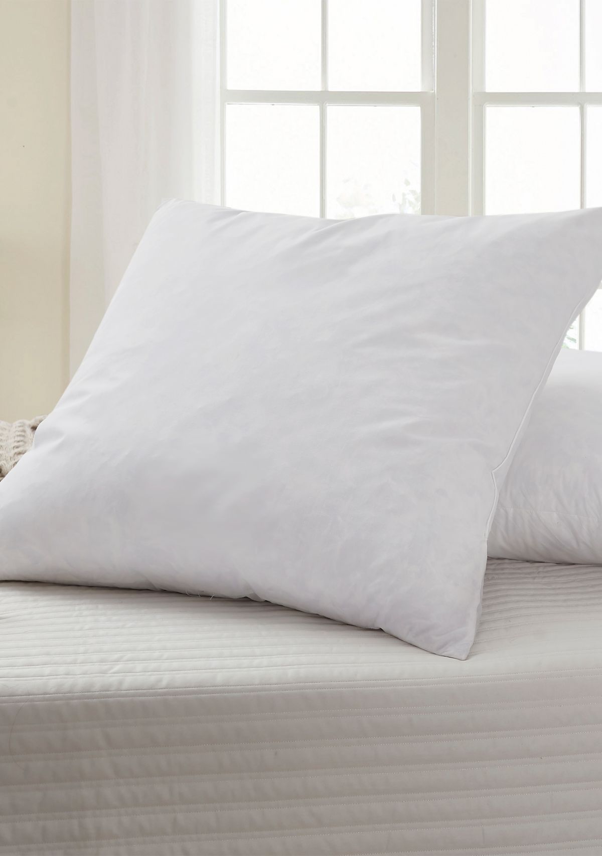 Feather Euro Square Pillow 2 Pack