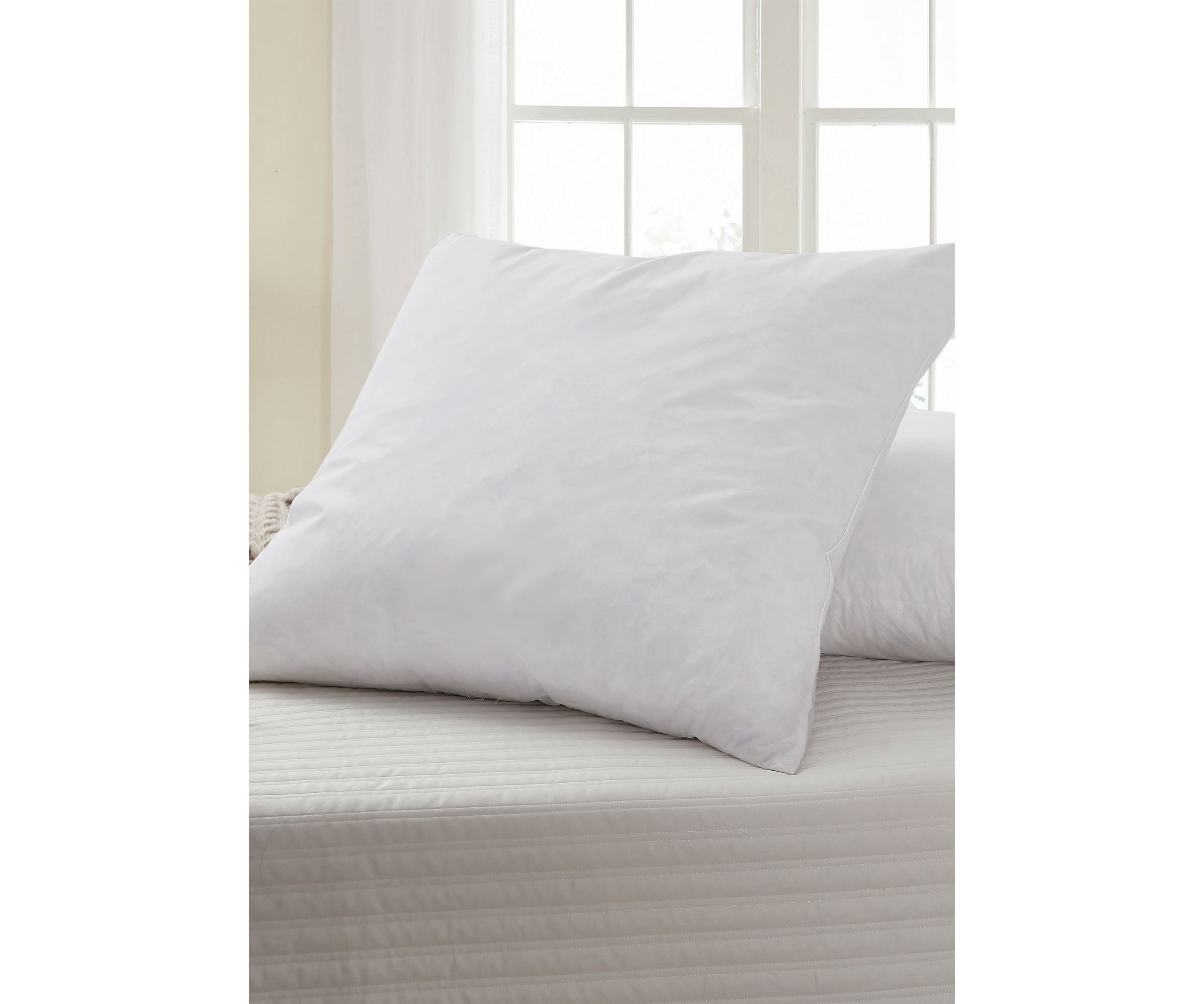 Feather Euro Square Pillow 2 Pack