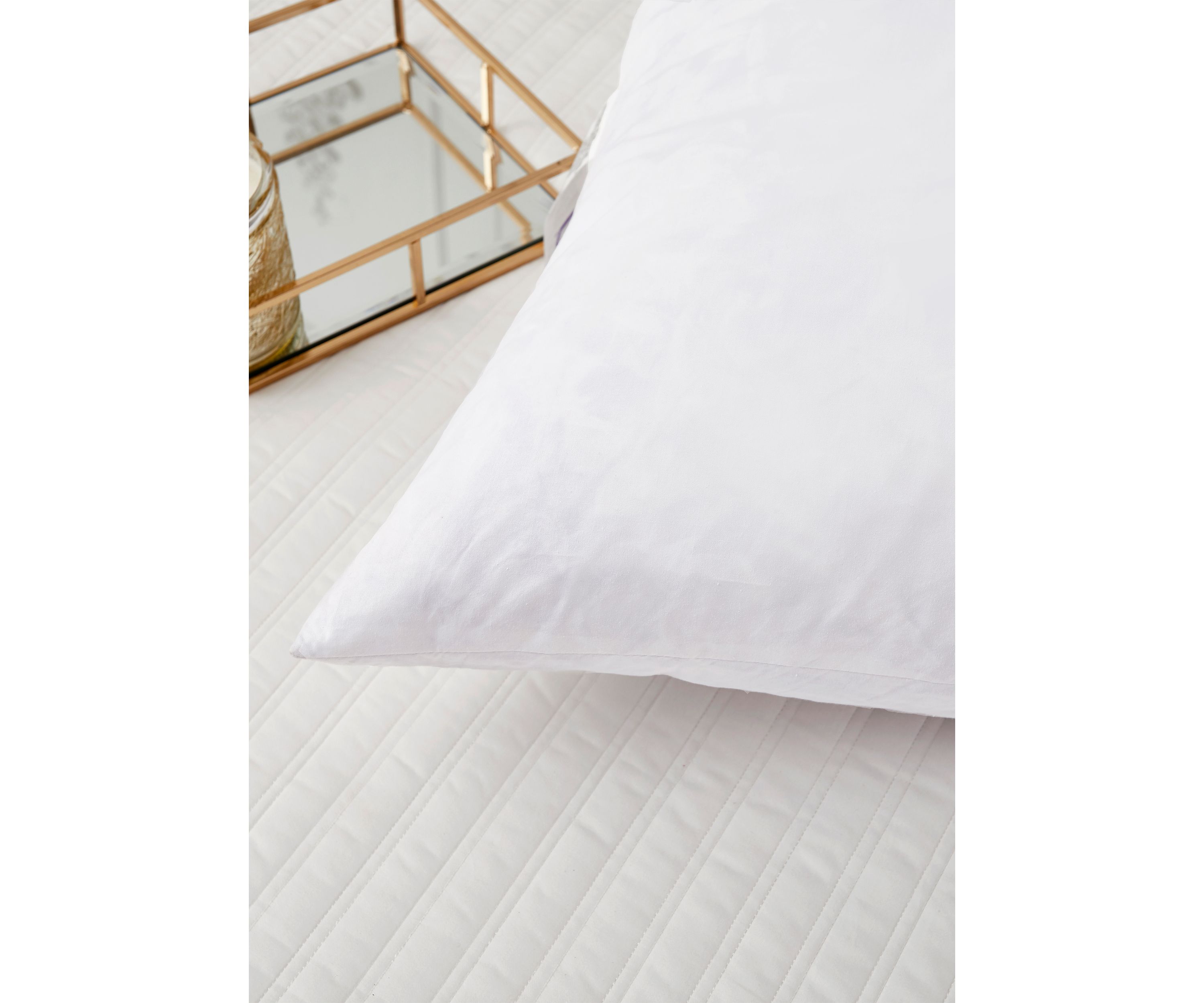 Feather Euro Square Pillow 2 Pack