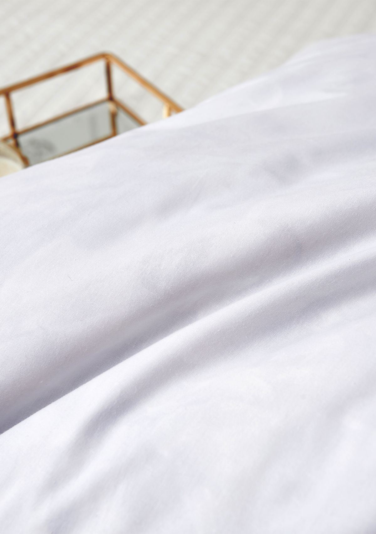 Feather Euro Square Pillow 2 Pack