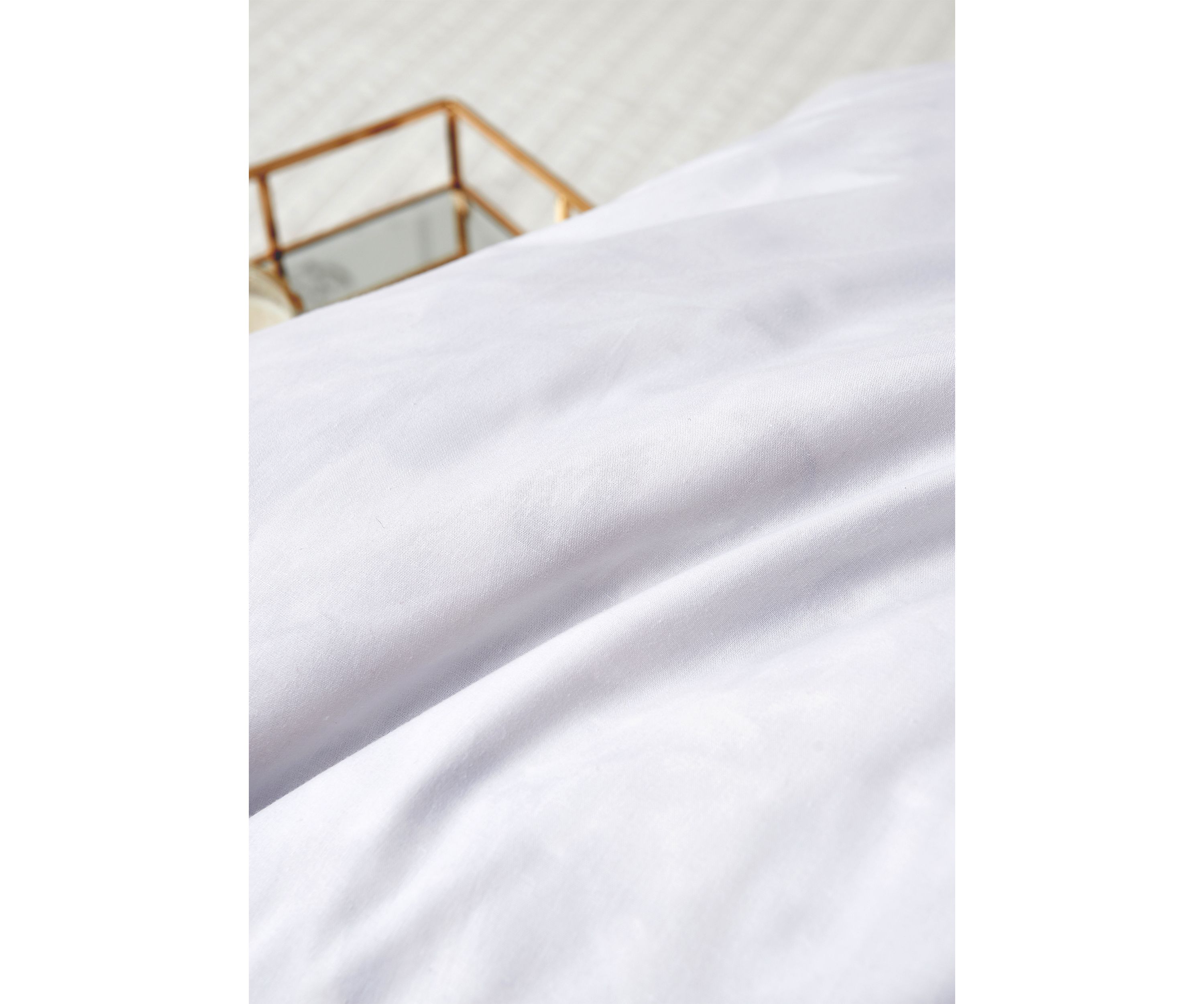 Feather Euro Square Pillow 2 Pack