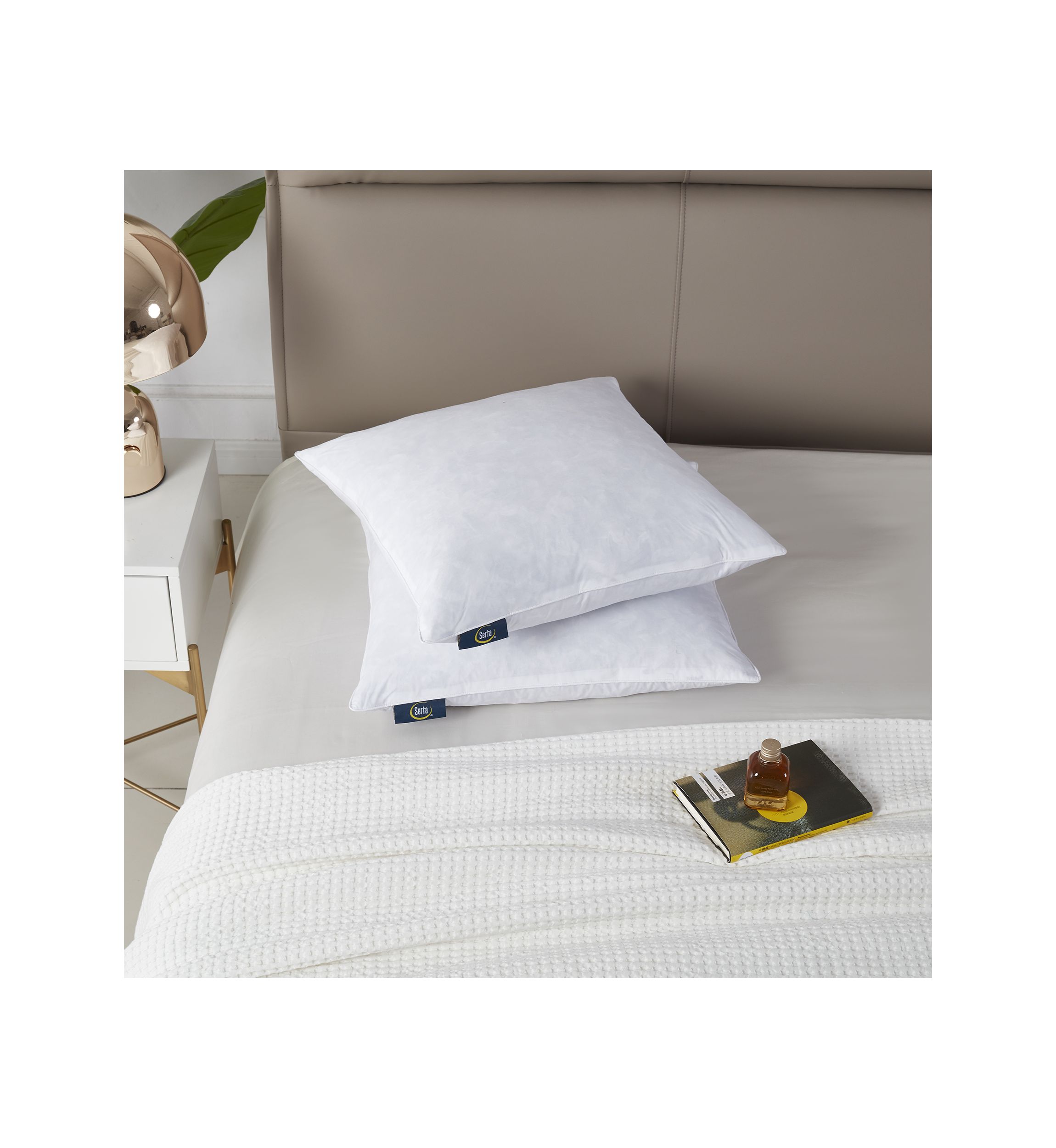 233 Thread Count Cotton Decorative Feather Pillow Insert (2 Pack) - Medium Firm