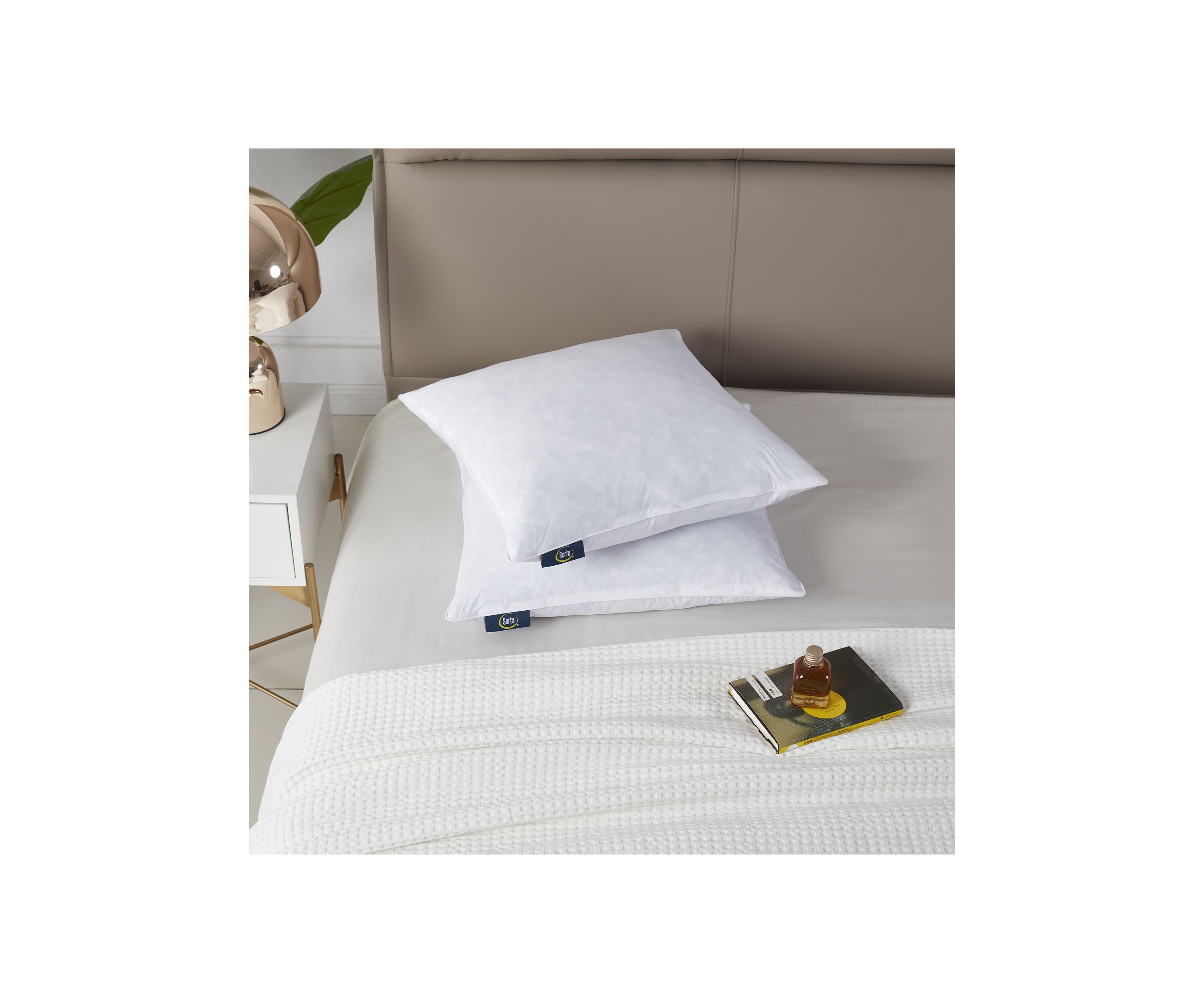 233 Thread Count Cotton Decorative Feather Pillow Insert (2 Pack) - Medium Firm