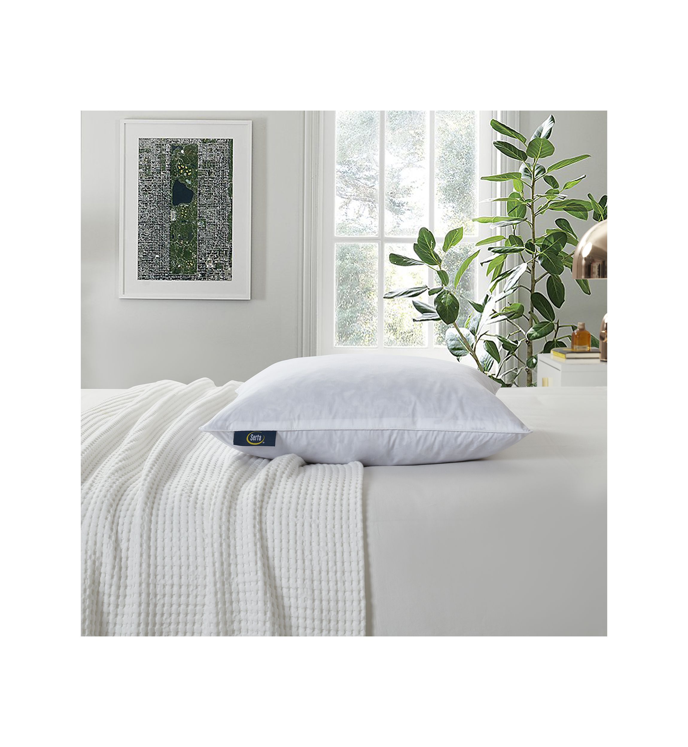 233 Thread Count Cotton Decorative Feather Pillow Insert (2 Pack) - Medium Firm