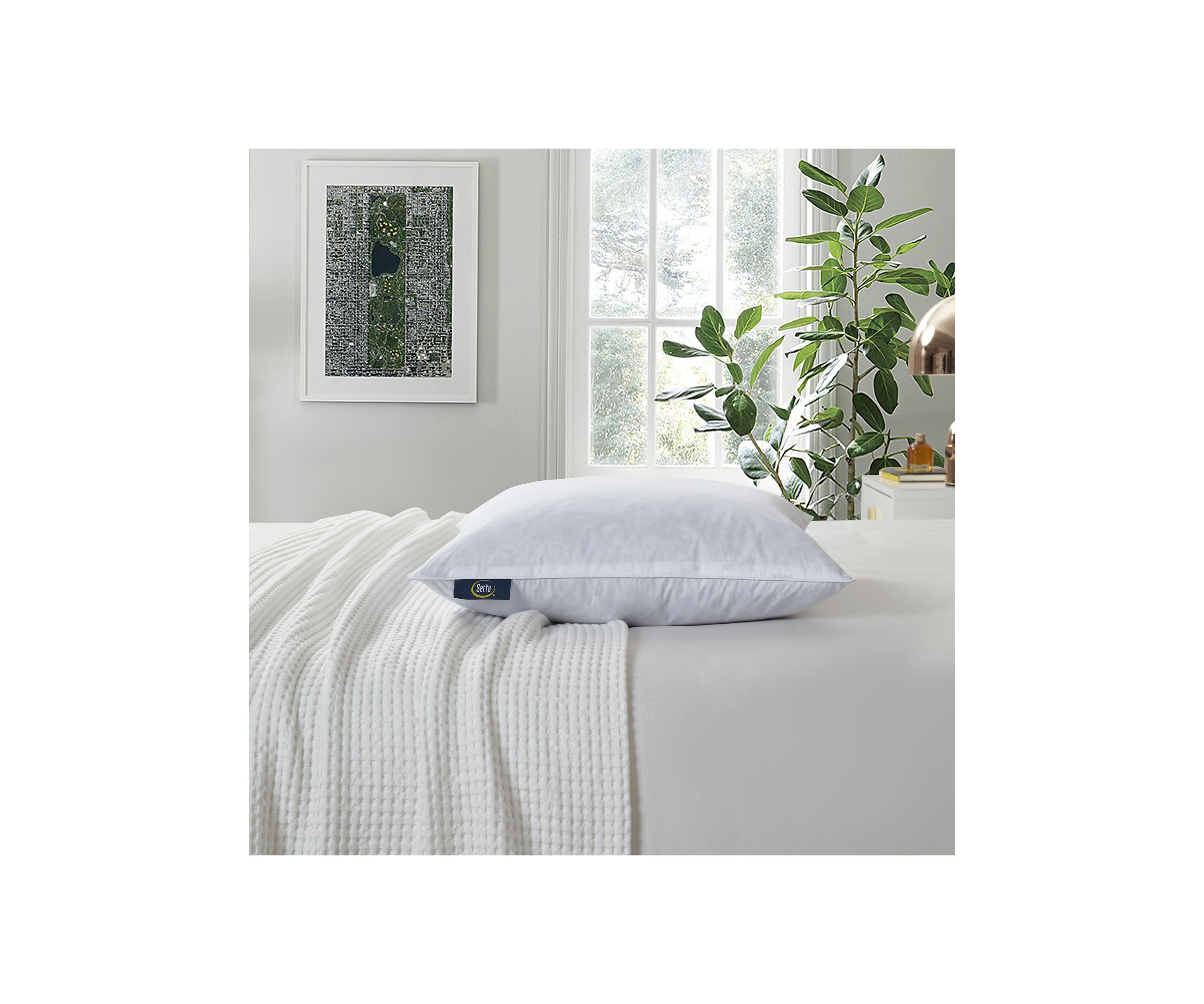 233 Thread Count Cotton Decorative Feather Pillow Insert (2 Pack) - Medium Firm