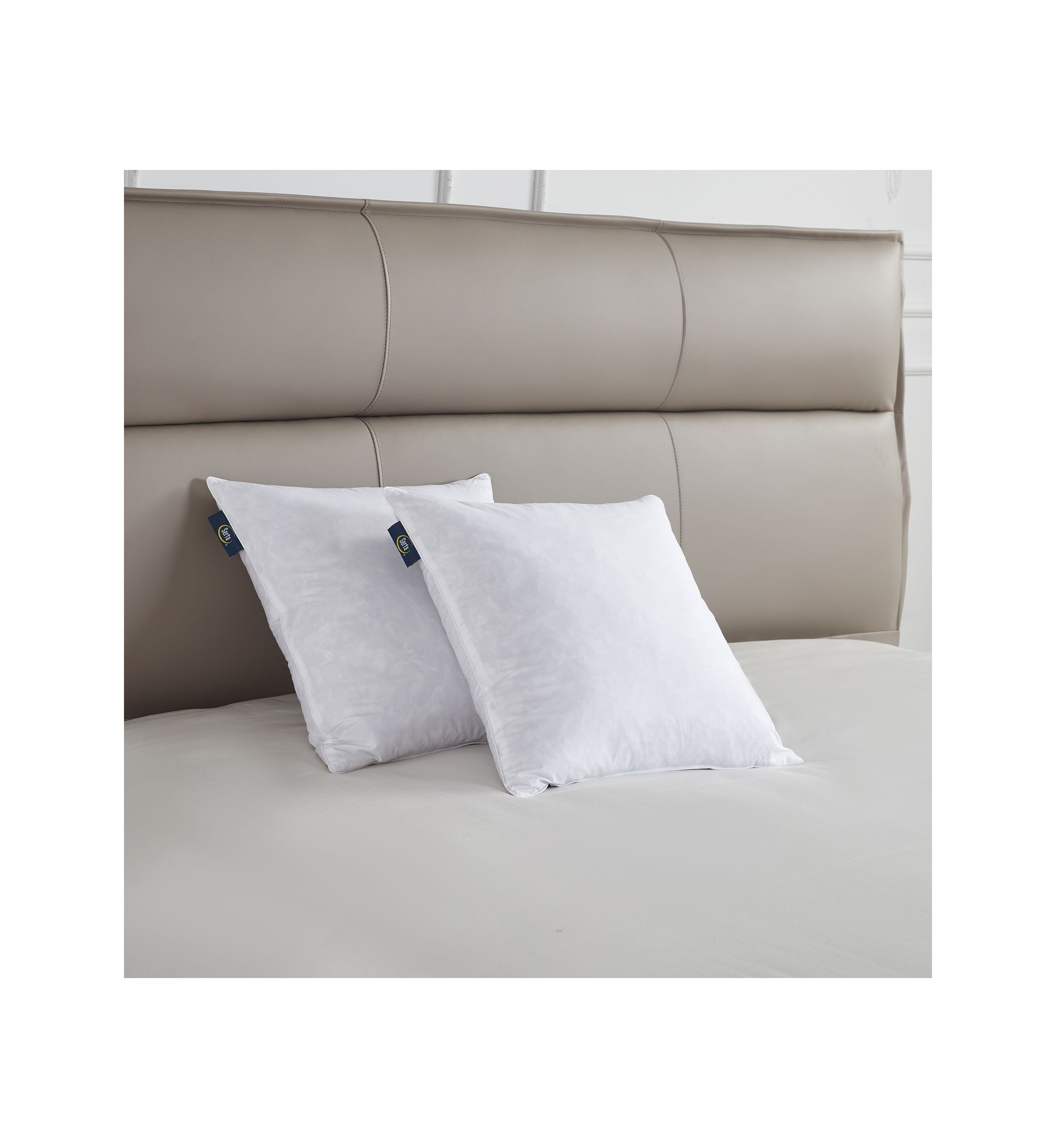 233 Thread Count Cotton Decorative Feather Pillow Insert (2 Pack) - Medium Firm