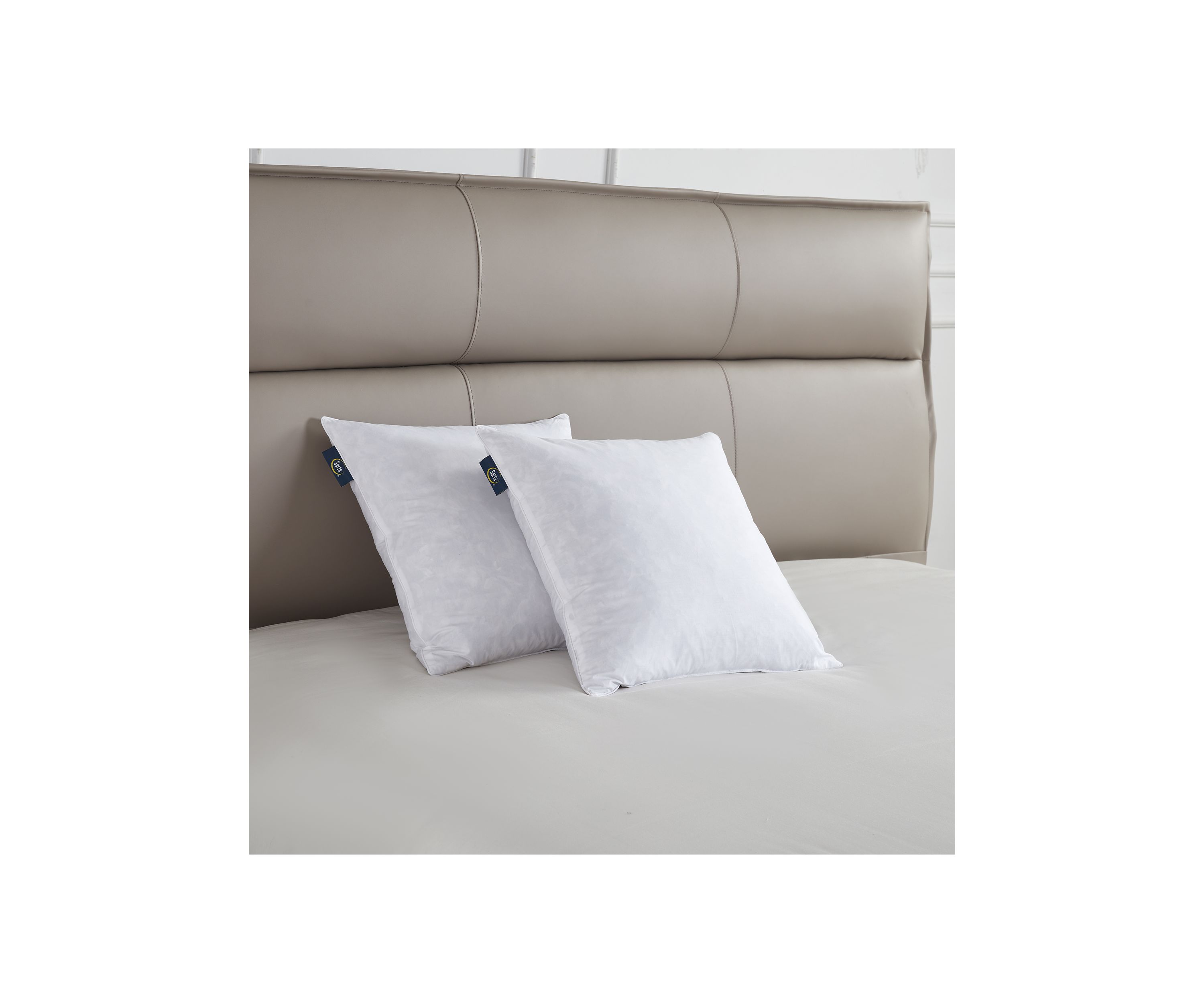 233 Thread Count Cotton Decorative Feather Pillow Insert (2 Pack) - Medium Firm