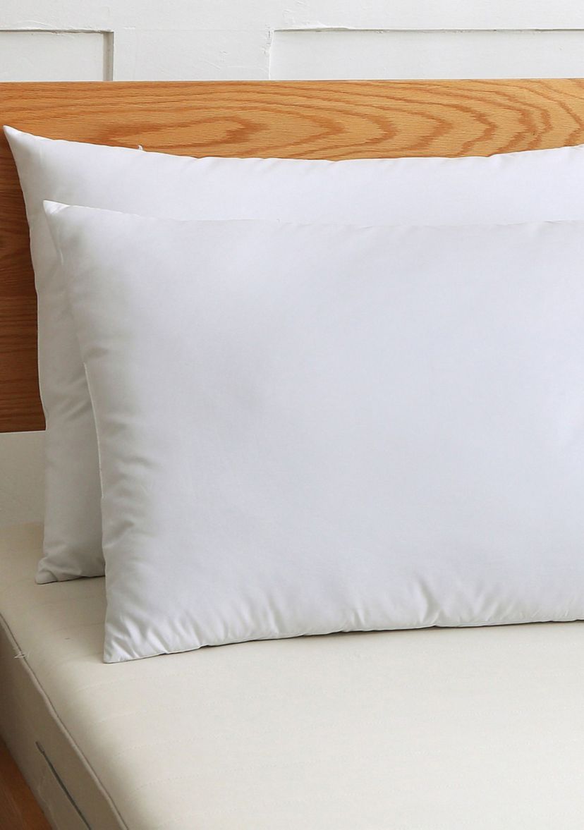 Set of 2 Cotton Silver Goose Nano Feather Pillows