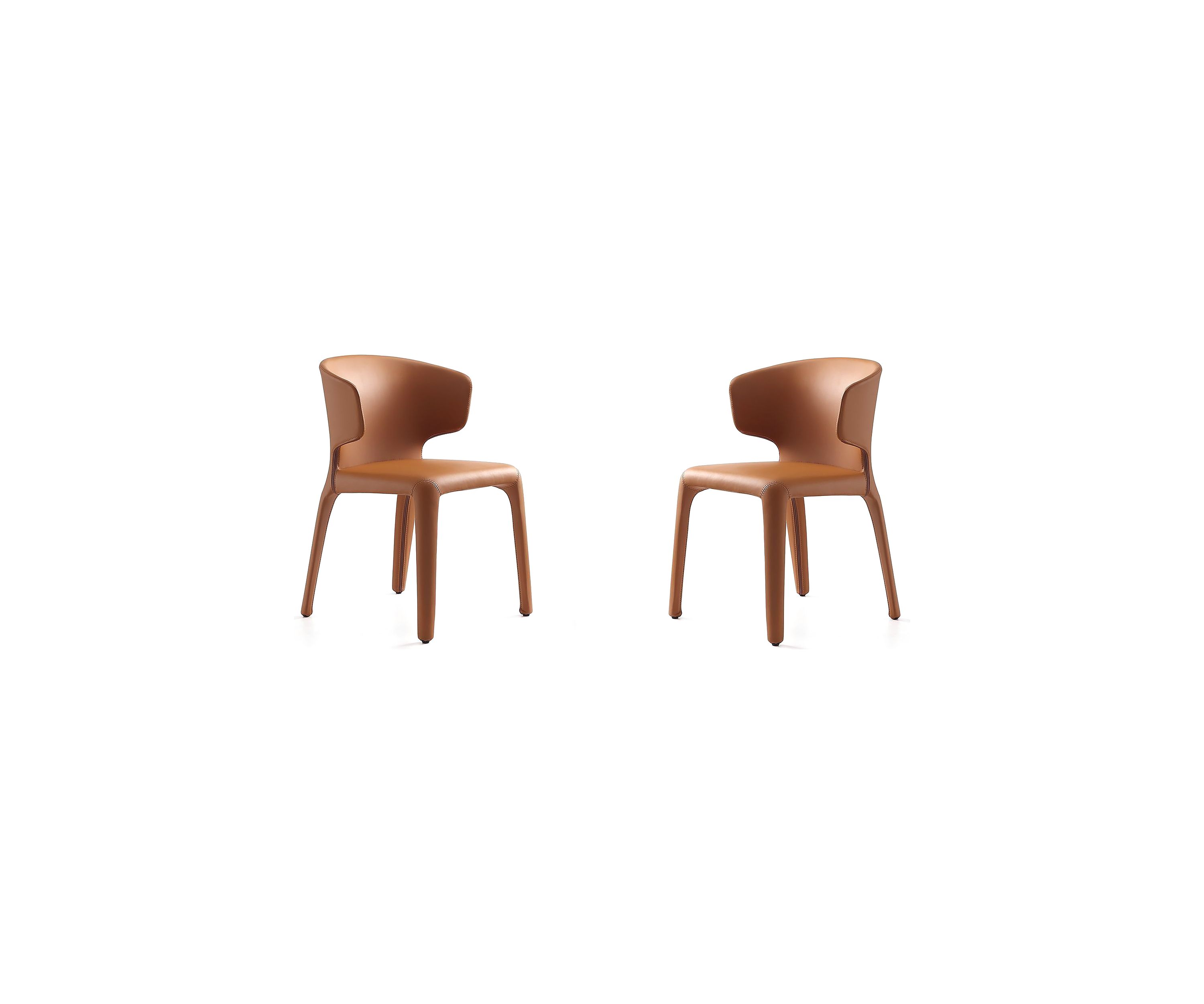 Conrad Dining Chairs - Set of 2