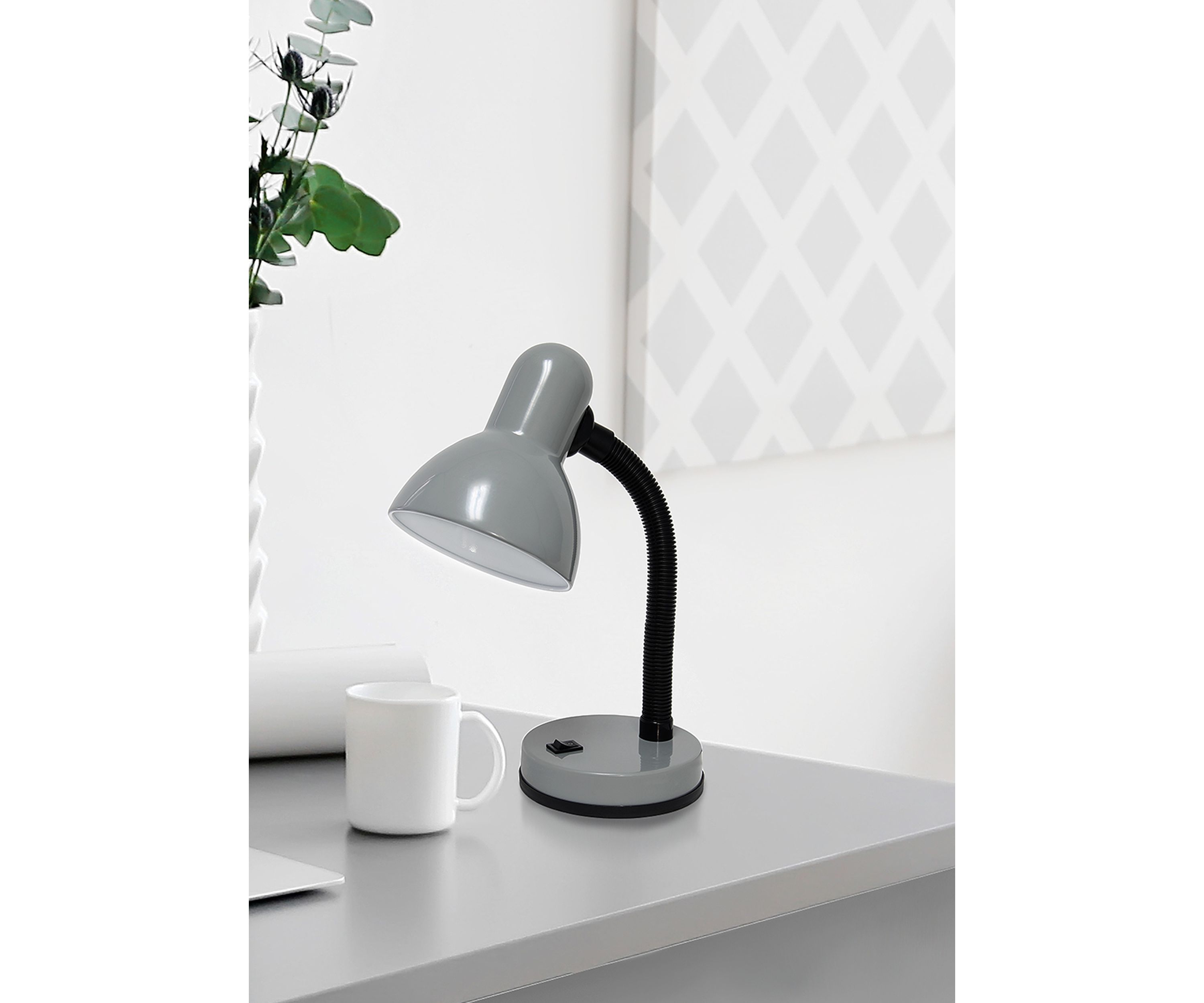 Basic Metal Desk Lamp with Flexible Hose Neck