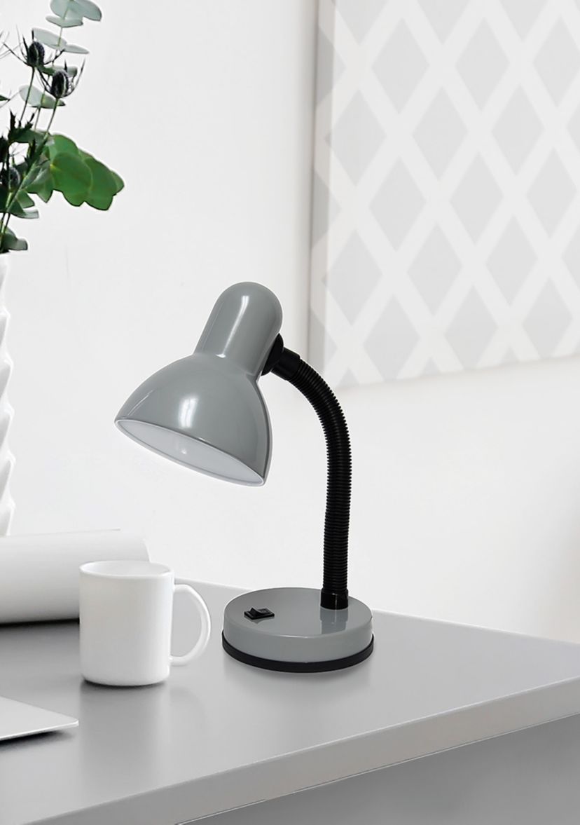 Basic Metal Desk Lamp with Flexible Hose Neck