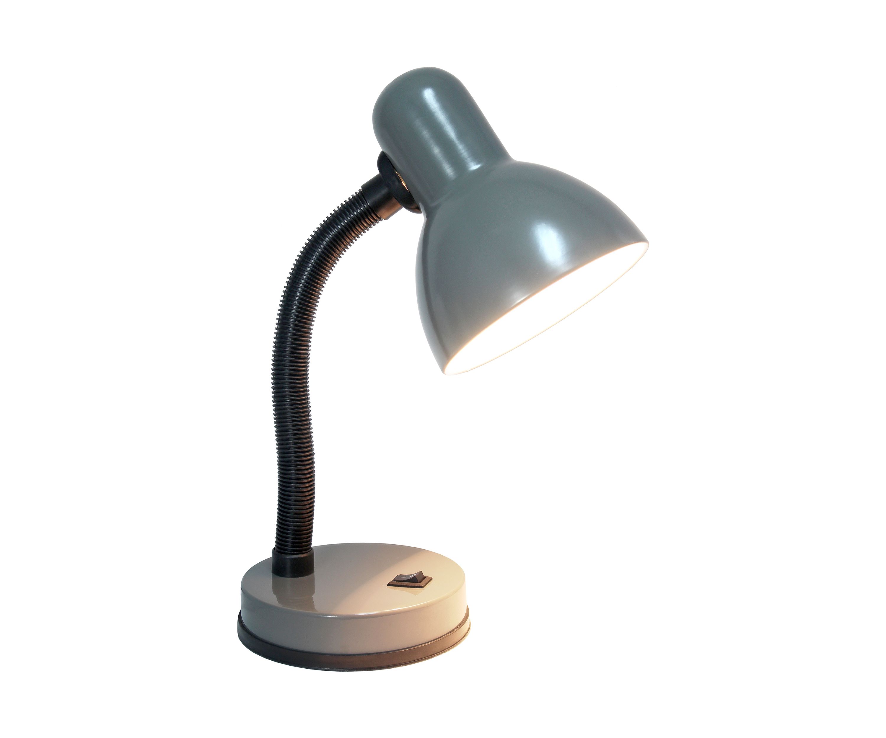 Basic Metal Desk Lamp with Flexible Hose Neck