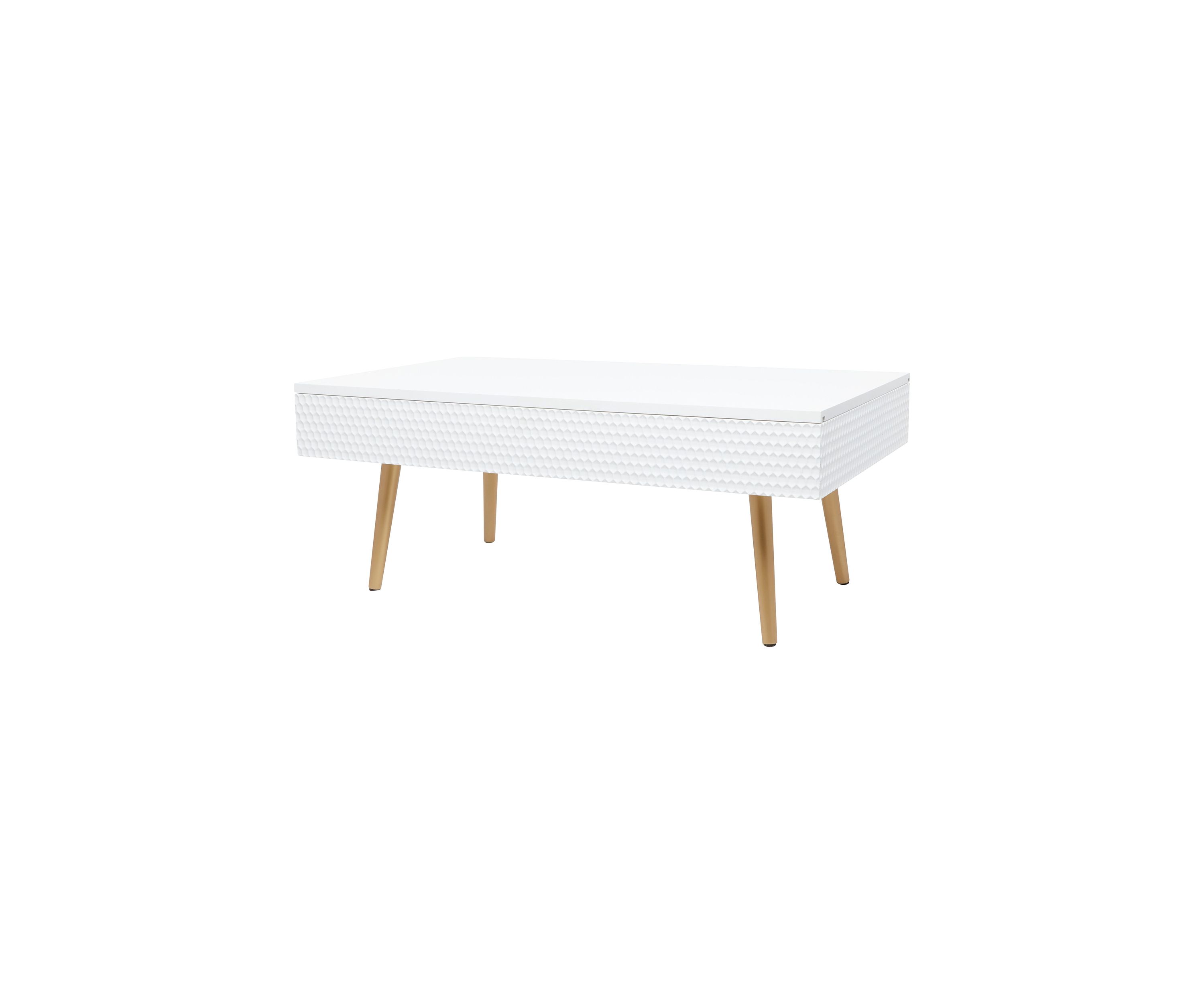Contemporary Wood Coffee Table