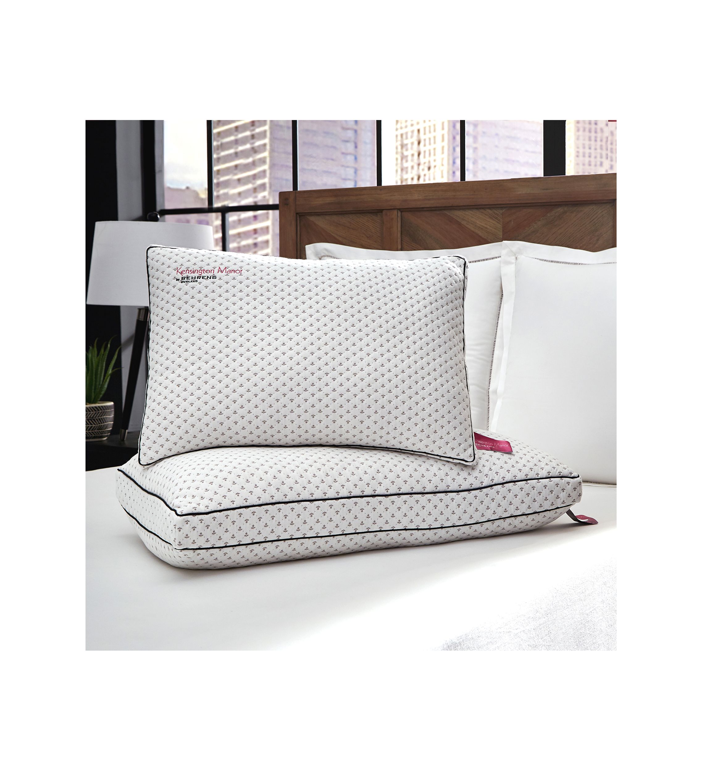 Charcoal Infused Memory Foam Pillow