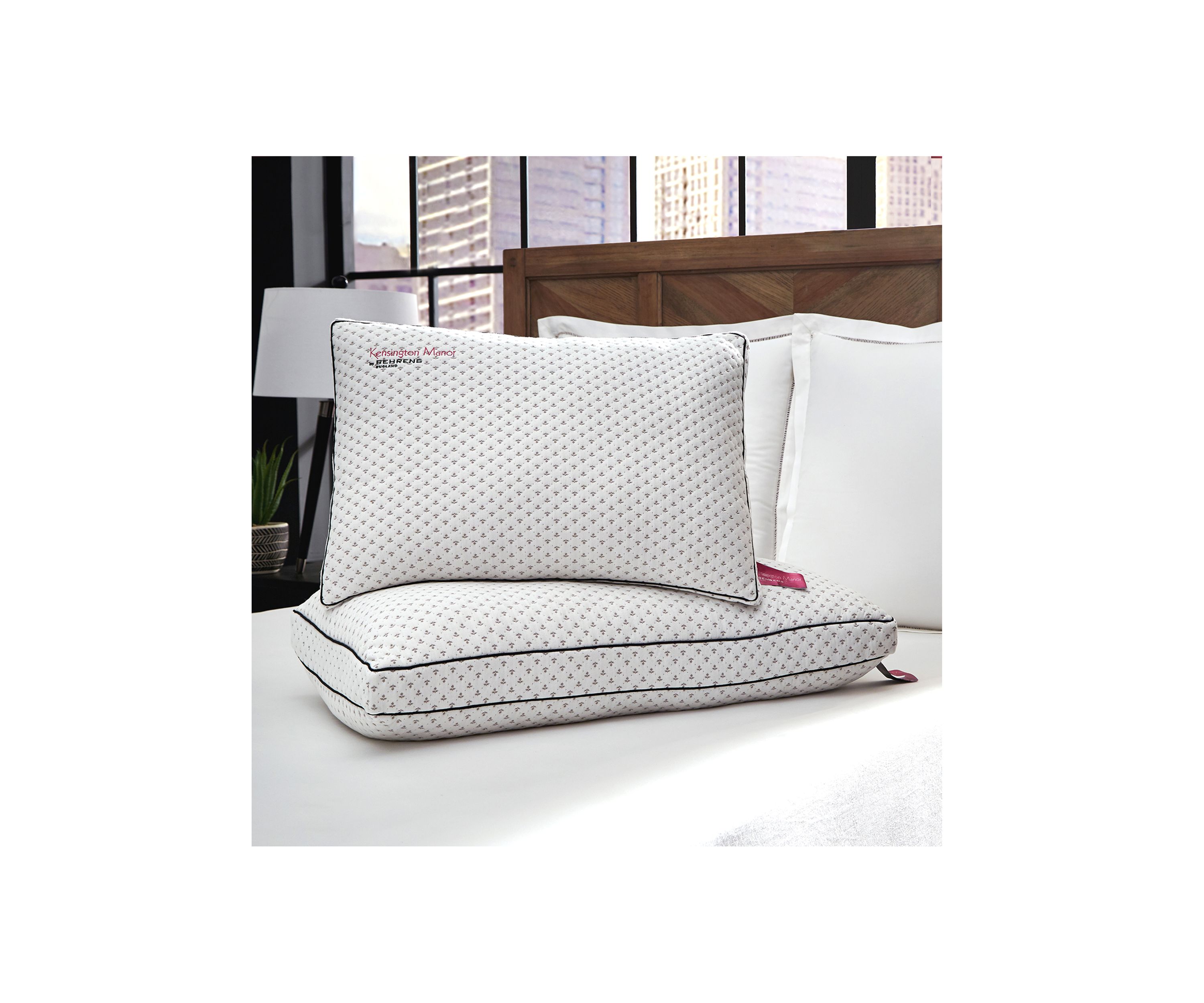 Charcoal Infused Memory Foam Pillow