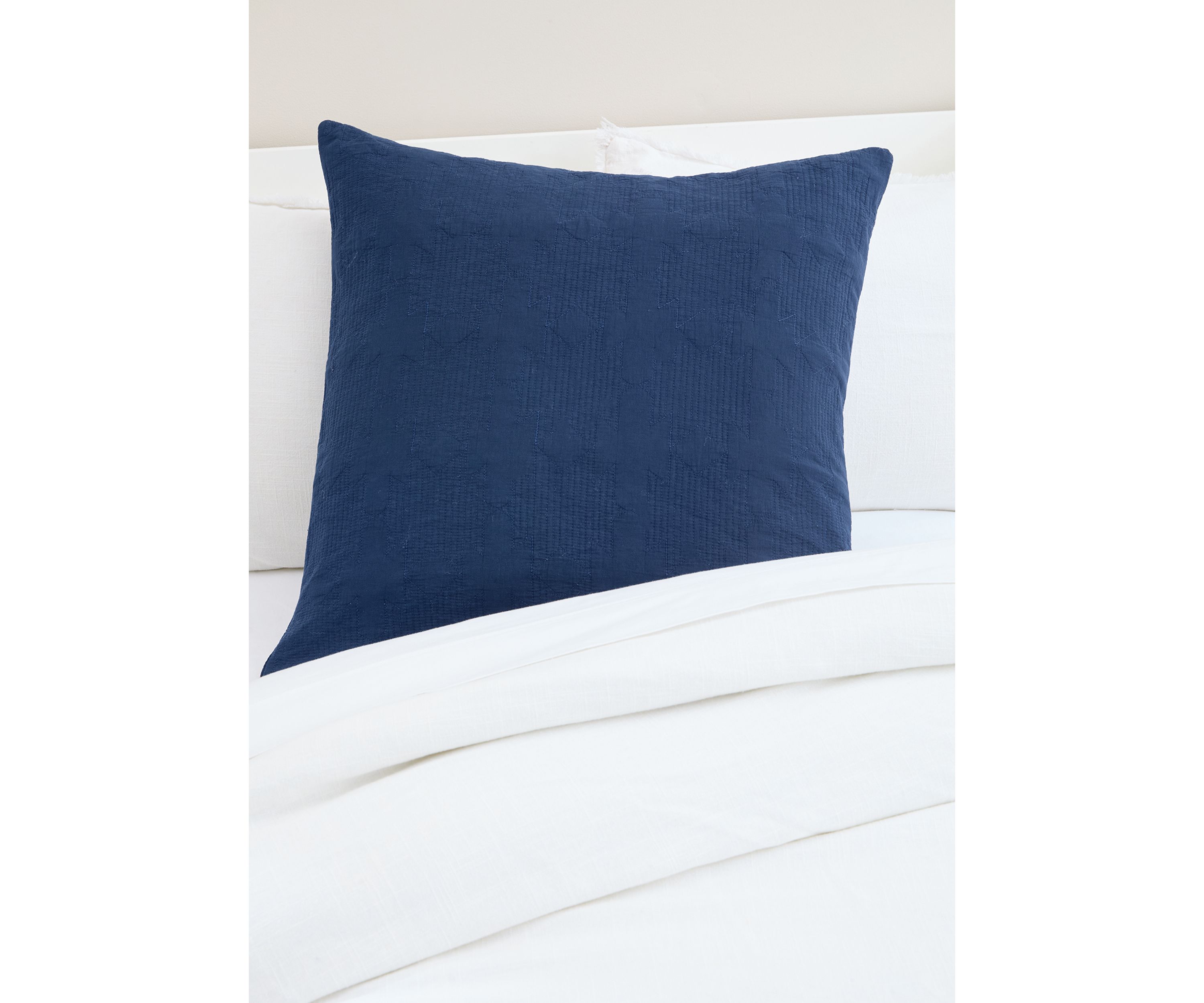 Aloe Euro Sham