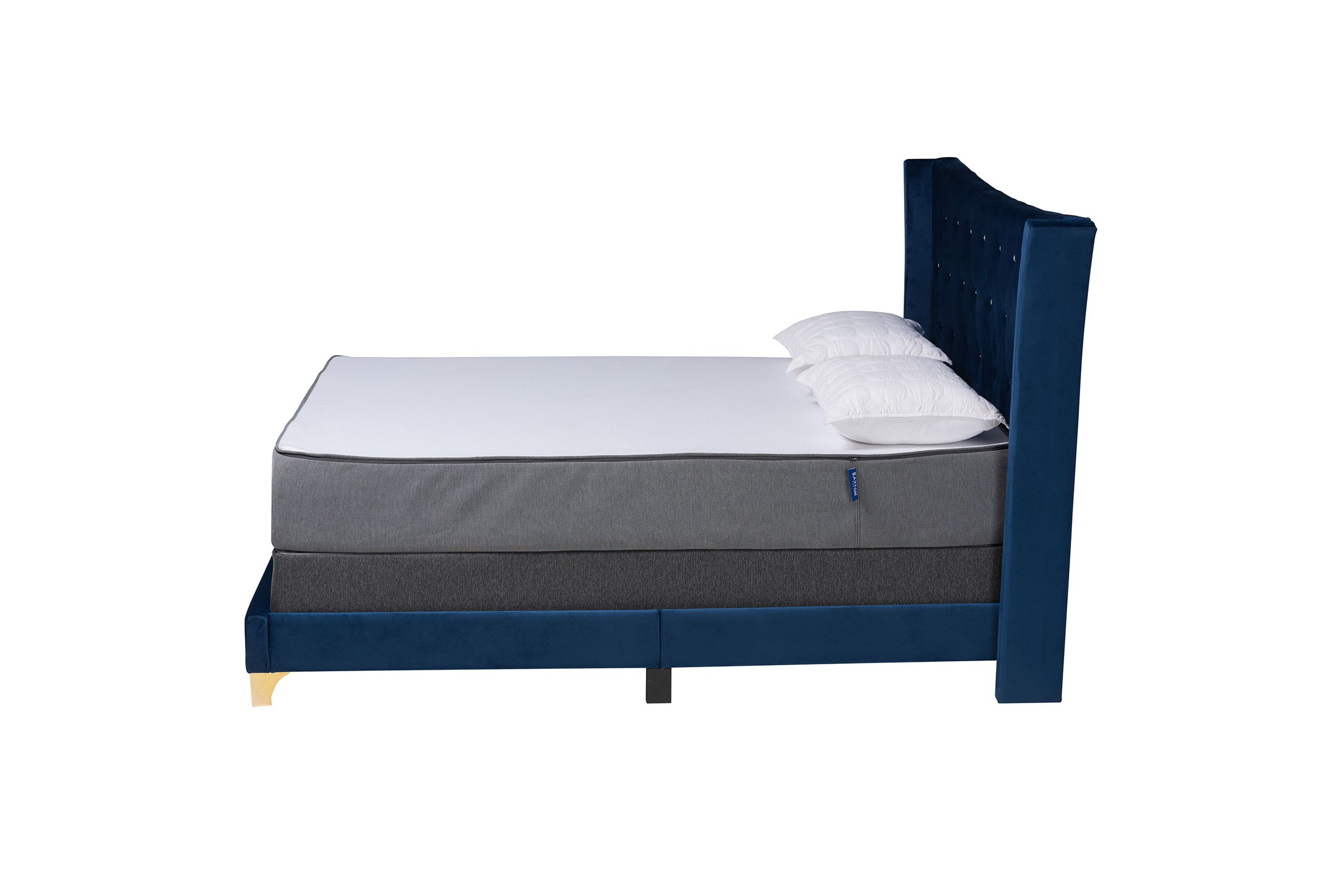 Easton Contemporary Glam and Luxe Velvet and Metal Panel Bed