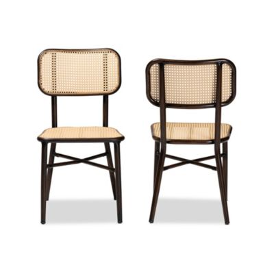 Katina Mid-Century Modern Dark Brown Finished Metal and Synthetic Rattan Outdoor Dining Chairs