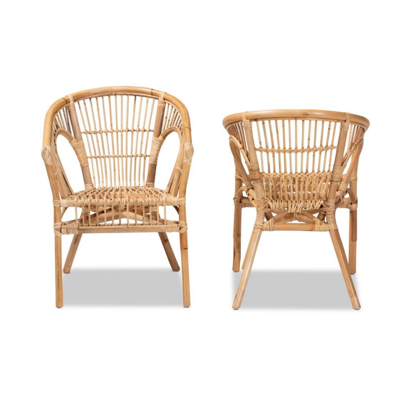 Alleta Modern Bohemian Natural Brown Rattan Dining Chairs